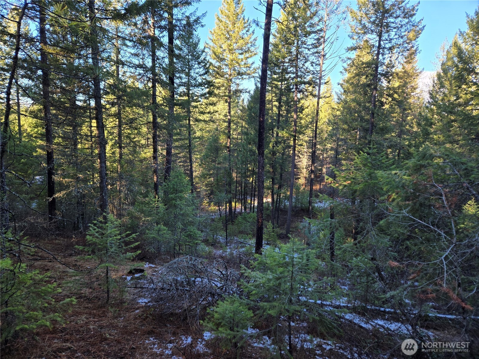 0 W Jump Off Joe Road Property Photo 9