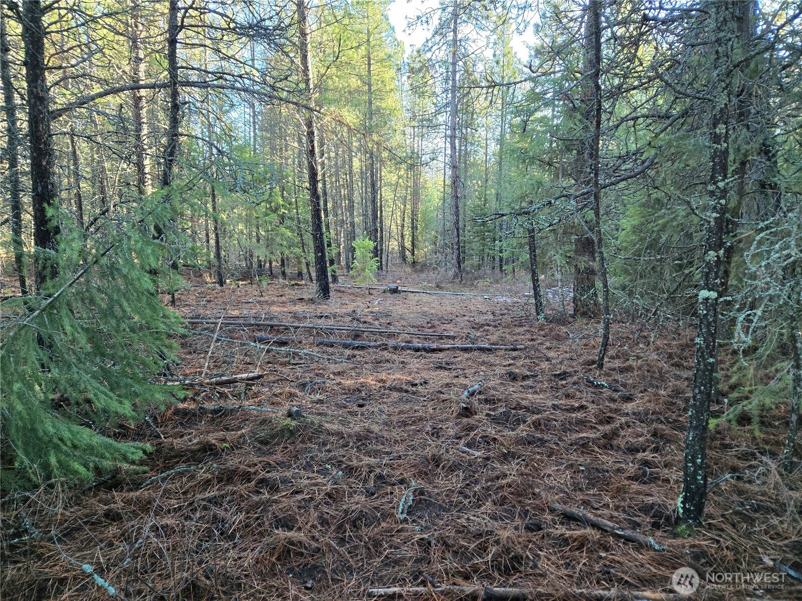 0 W Jump Off Joe Road Property Photo 10