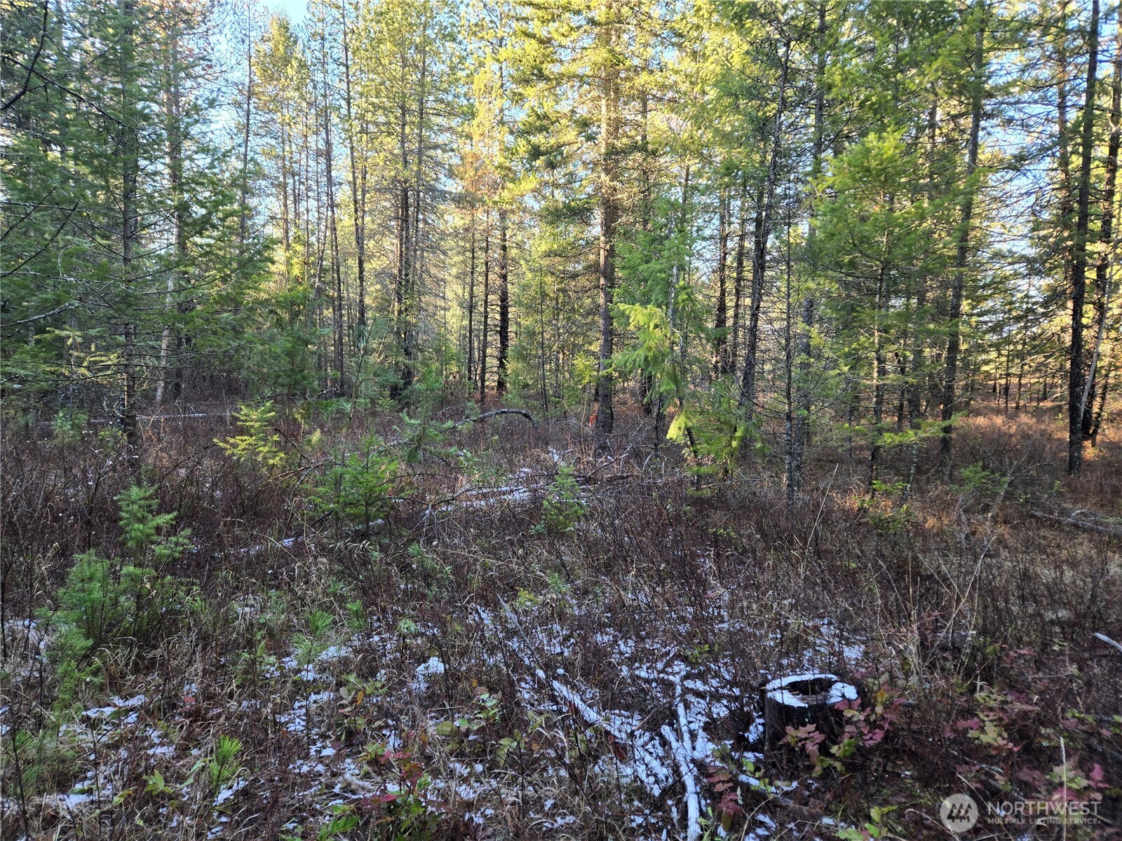 0 W Jump Off Joe Road Property Photo 11