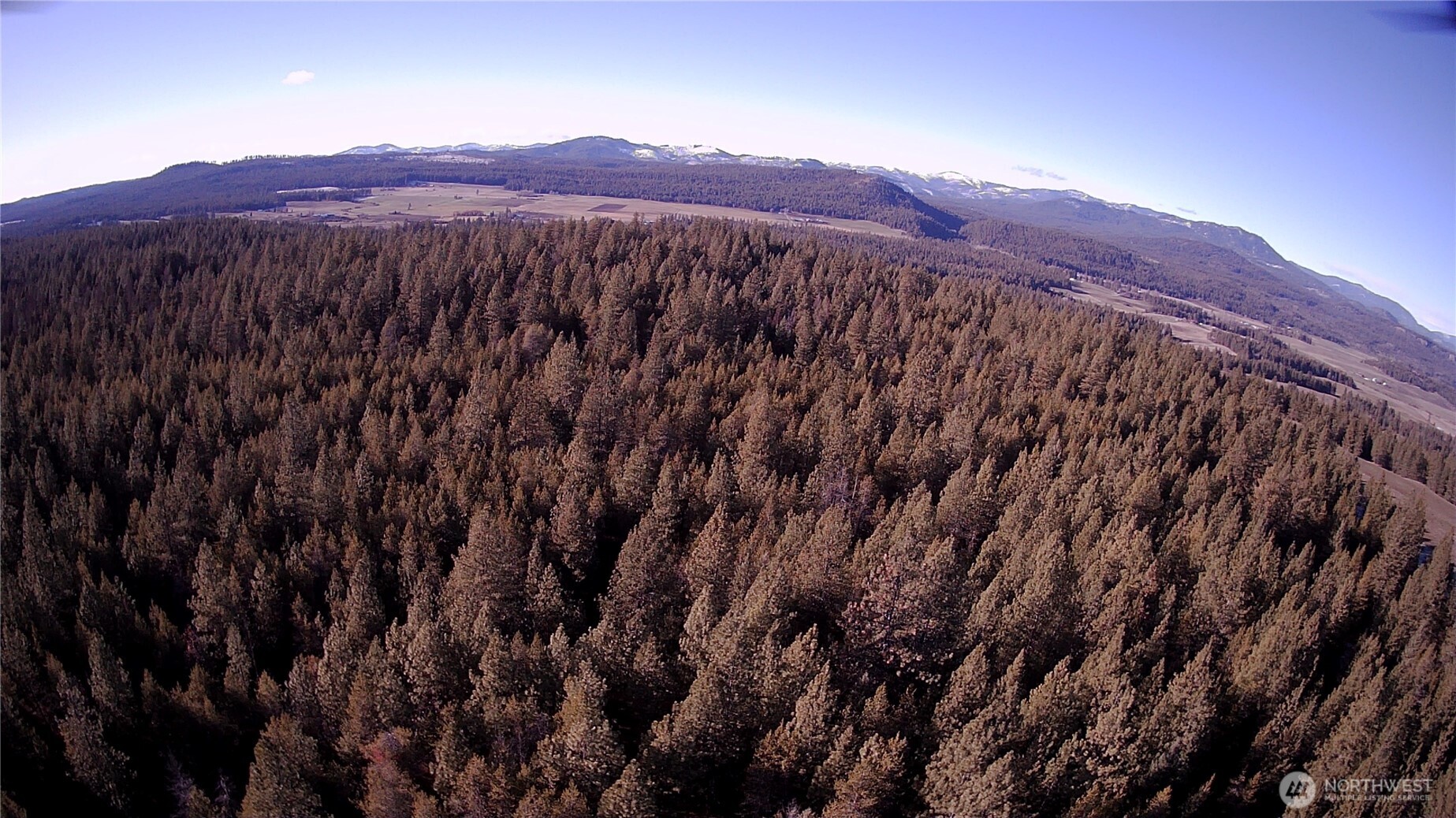 0 W Jump Off Joe Road Property Photo 12