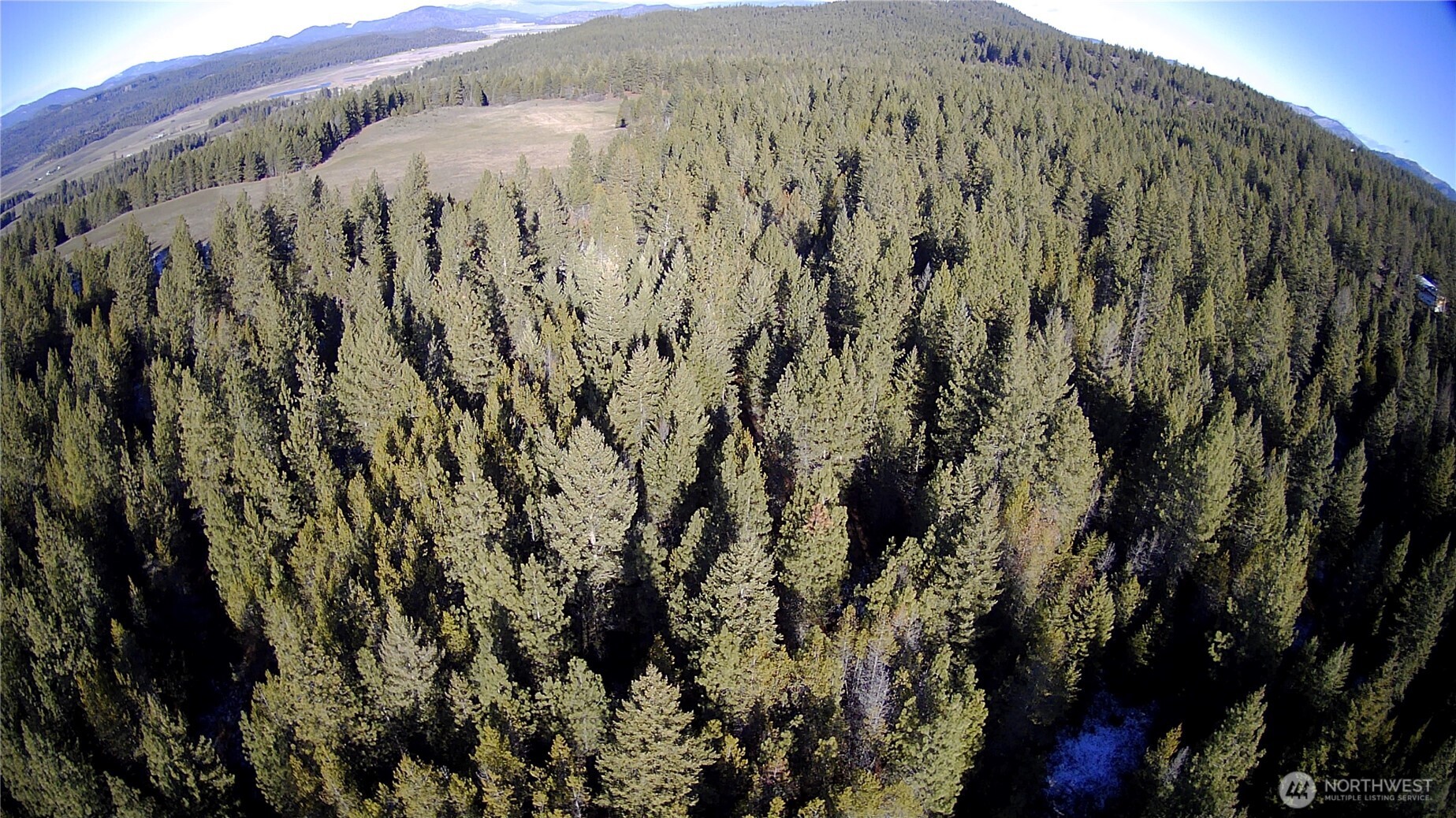 0 W Jump Off Joe Road Property Photo 13