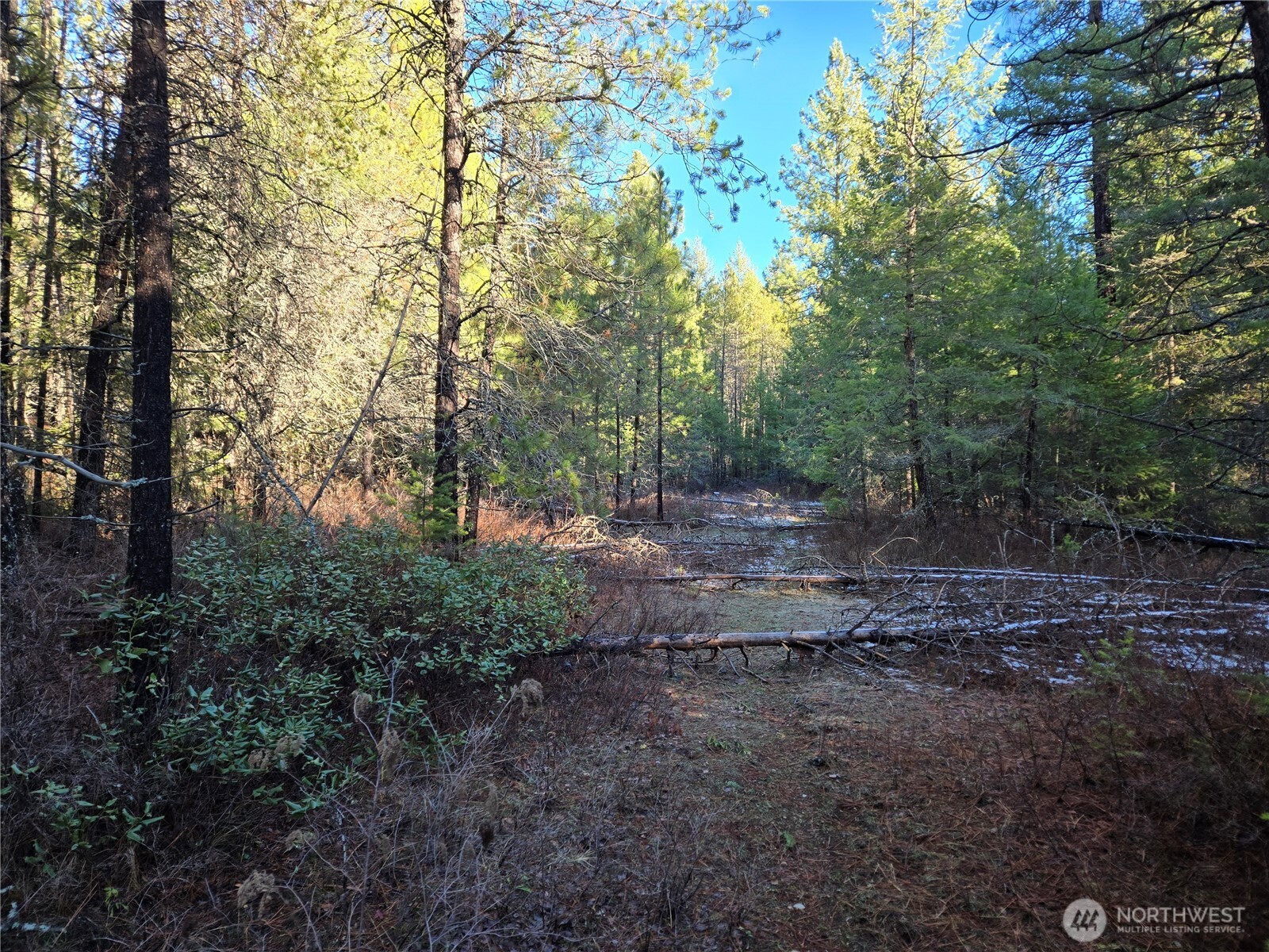 0 W Jump Off Joe Road Property Photo 17