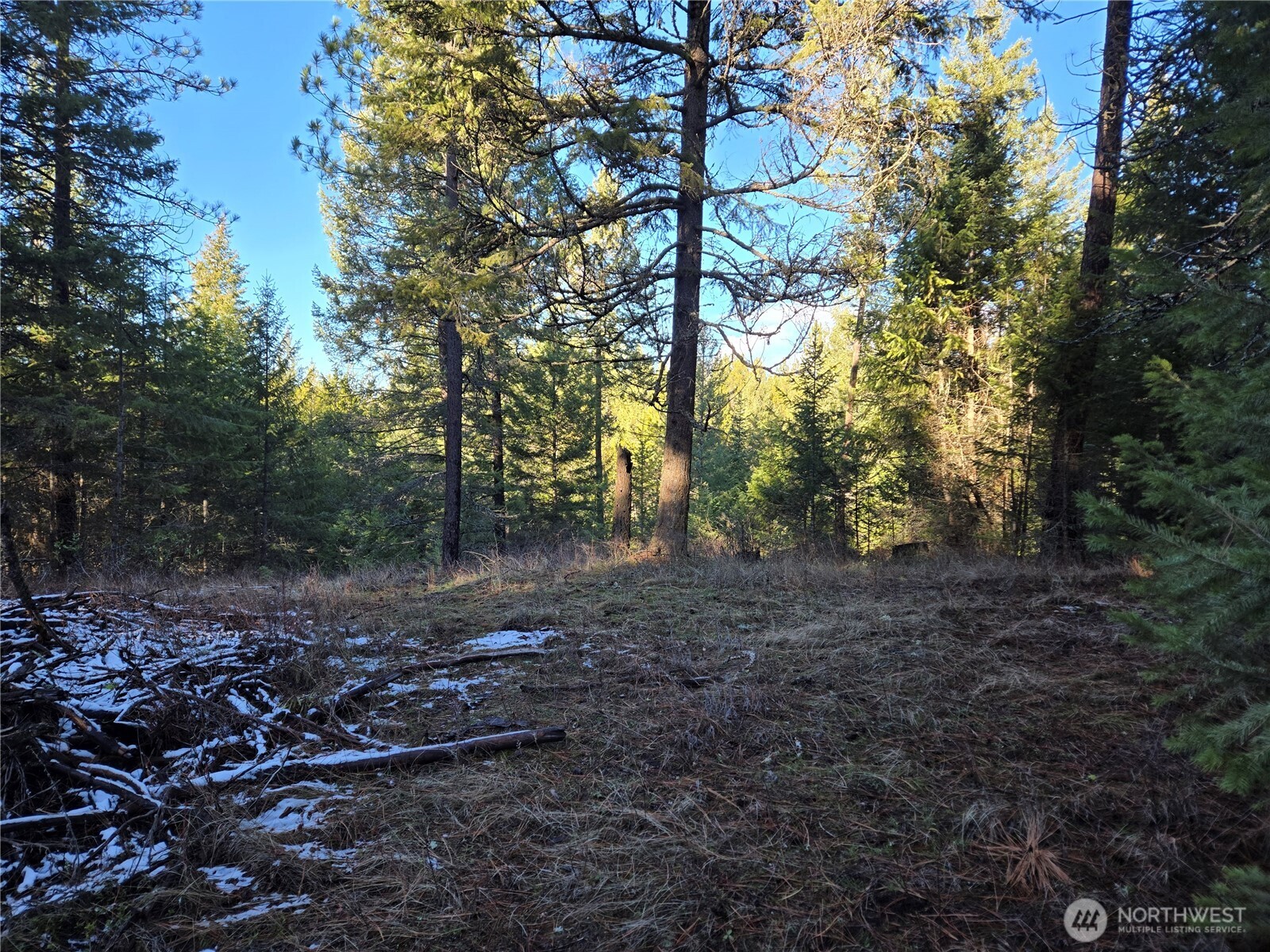 0 W Jump Off Joe Road Property Photo 18