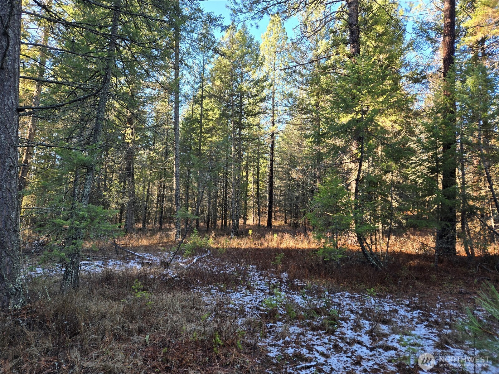 0 W Jump Off Joe Road Property Photo 19