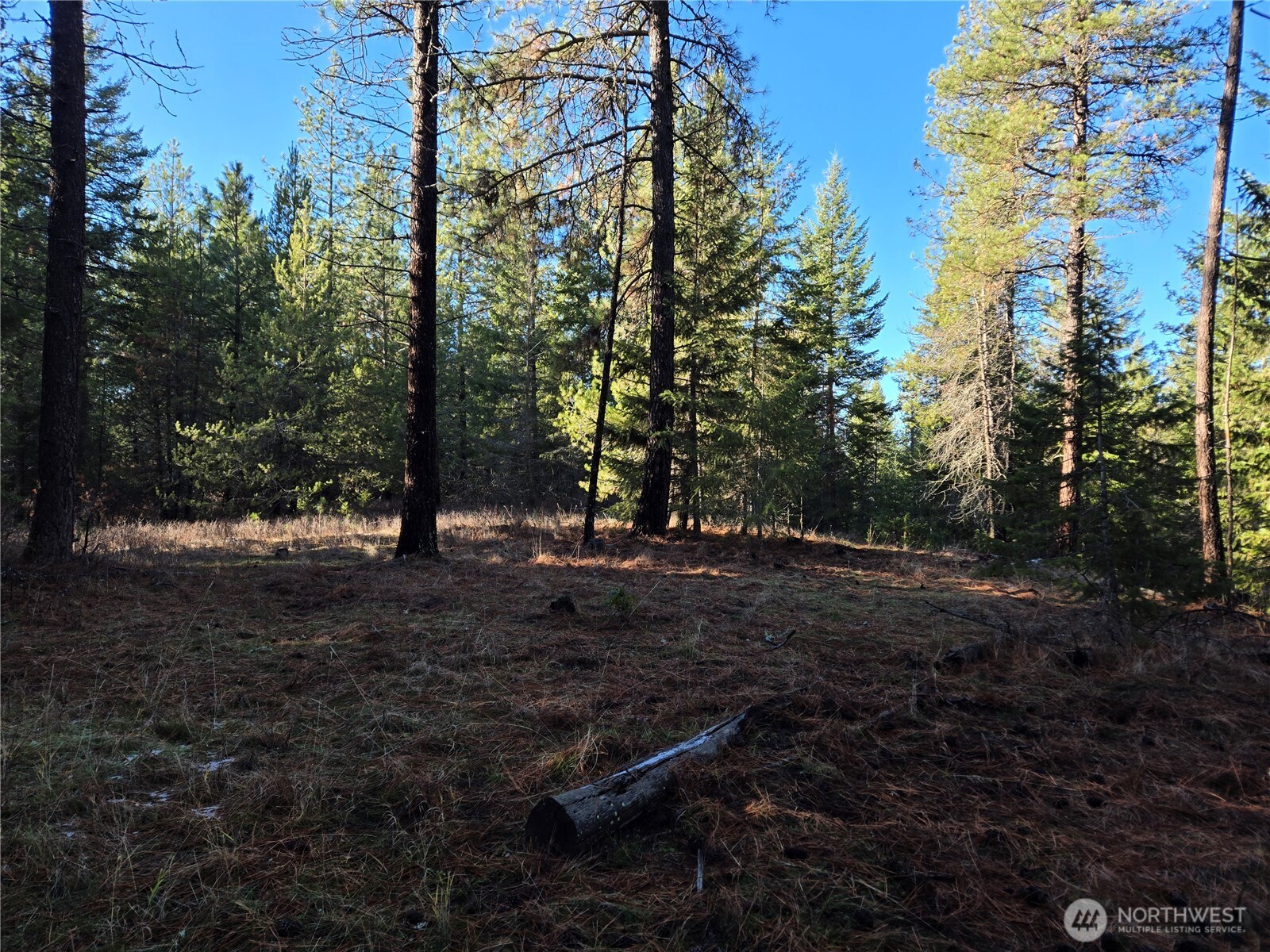 0 W Jump Off Joe Road Property Photo 20