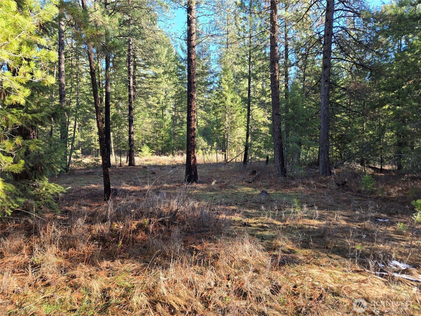 0 W Jump Off Joe Road Property Photo 21