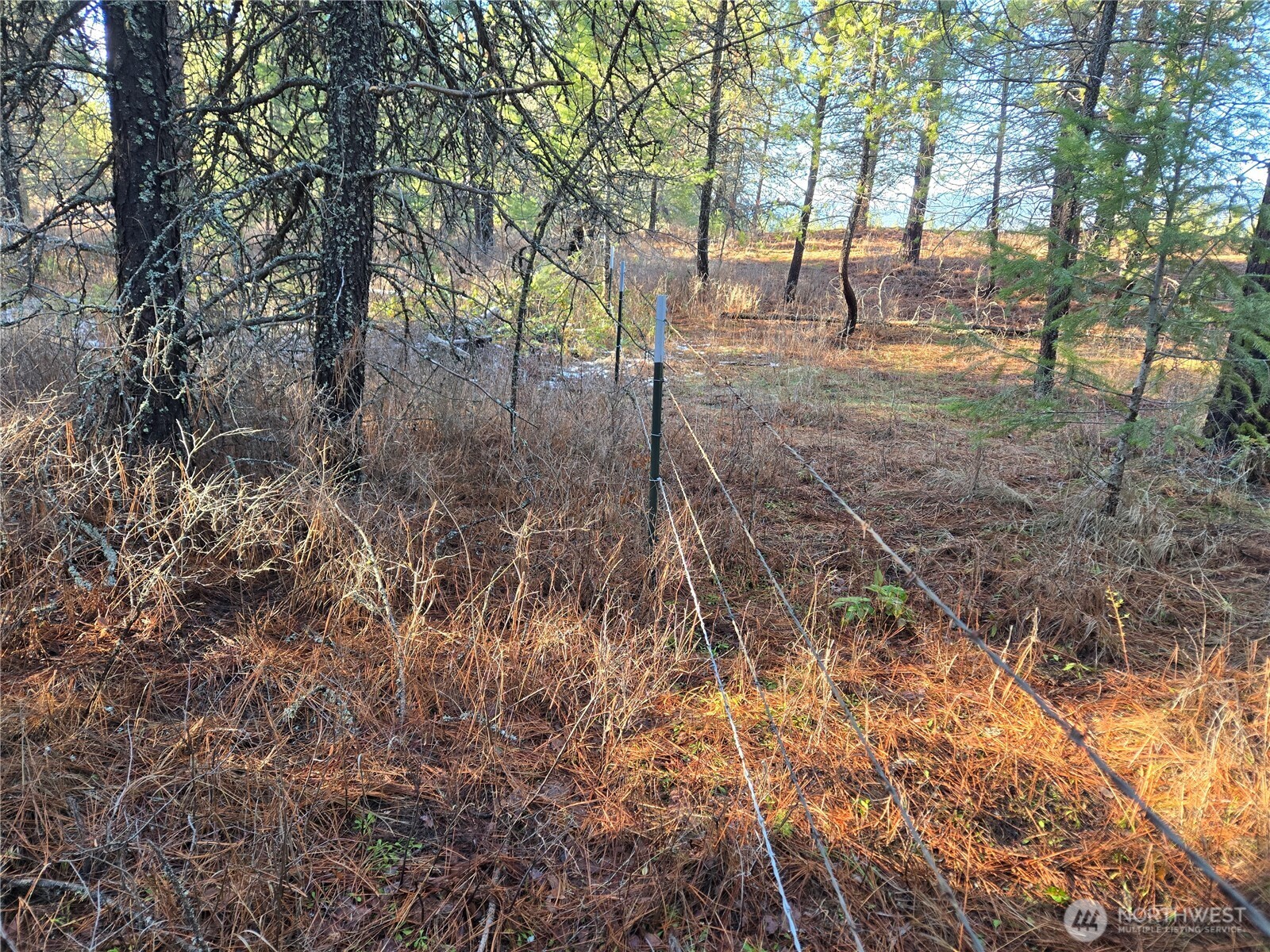 0 W Jump Off Joe Road Property Photo 22