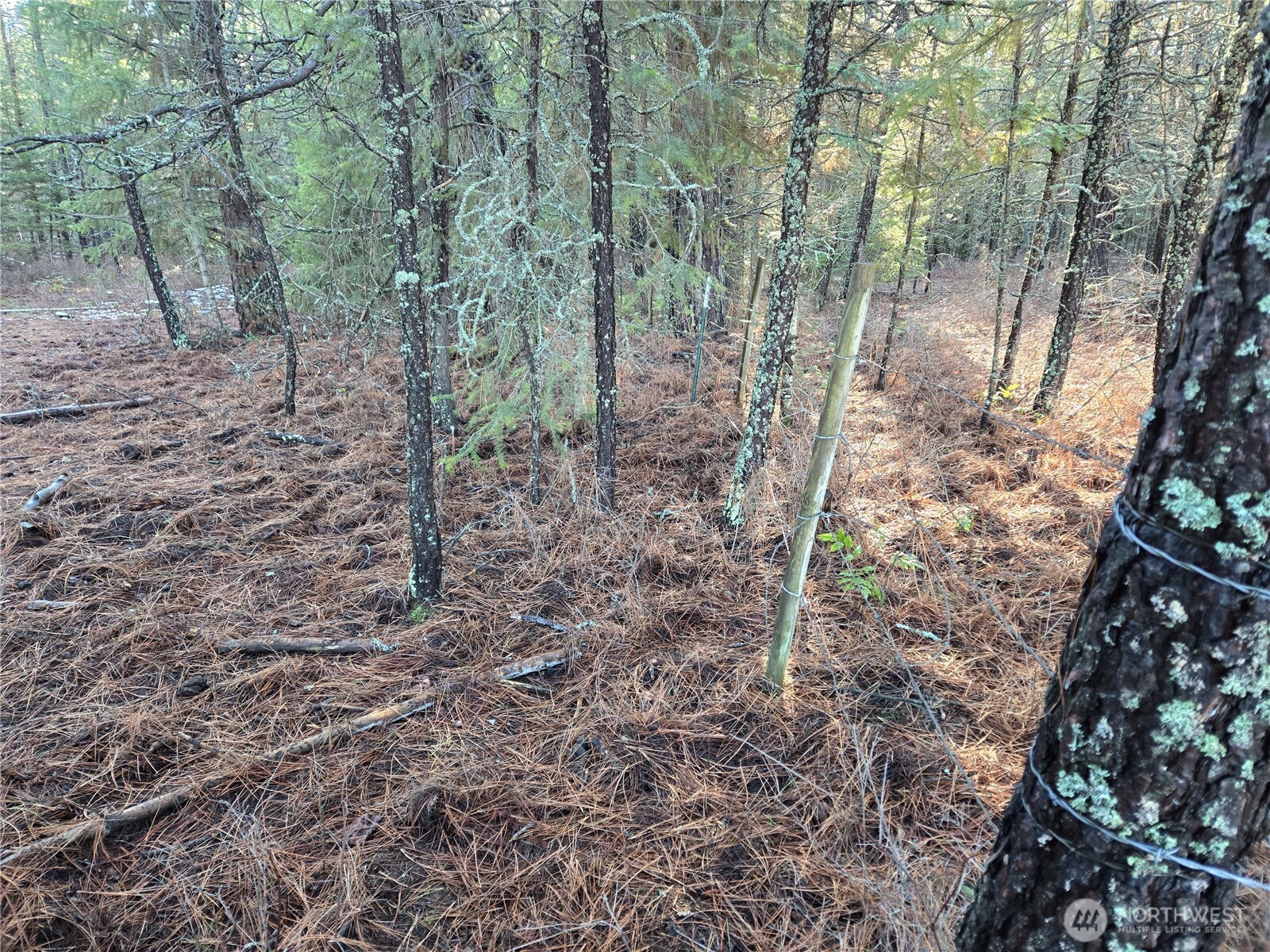 0 W Jump Off Joe Road Property Photo 23