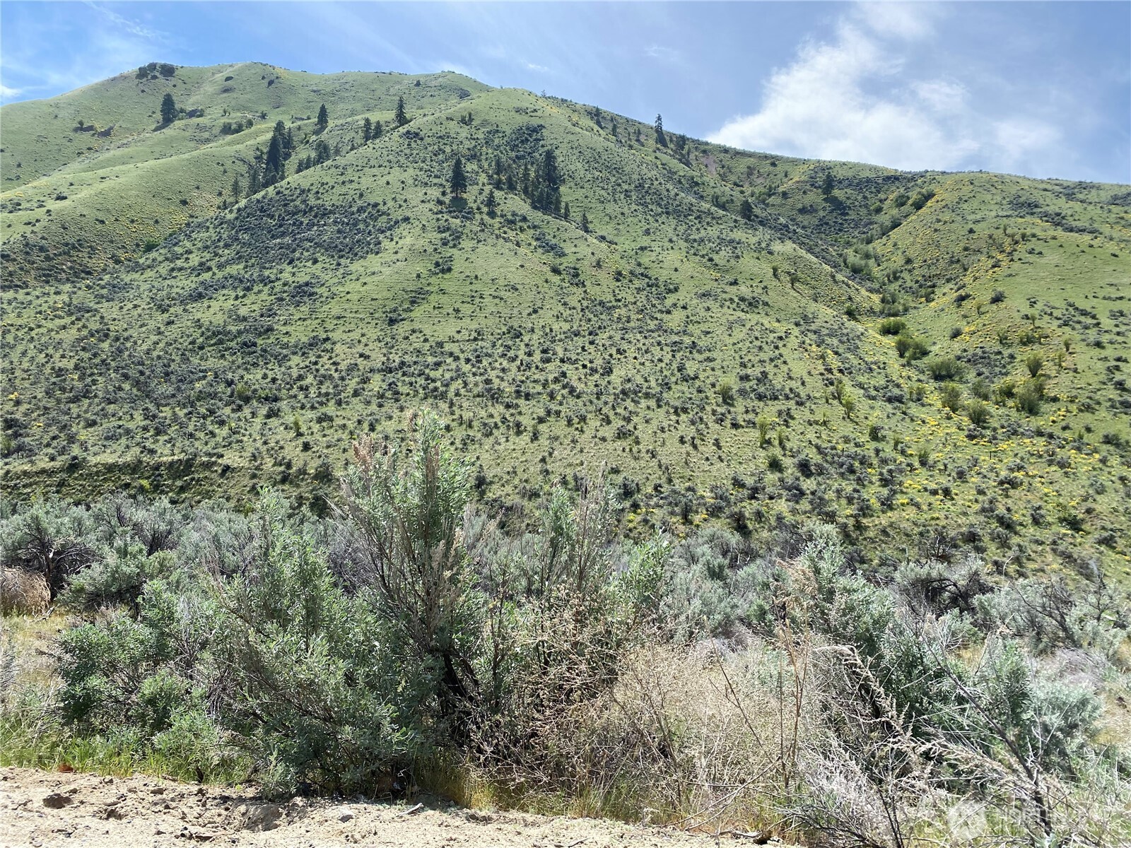 1585 Pitcher Canyon Road Property Photo 1