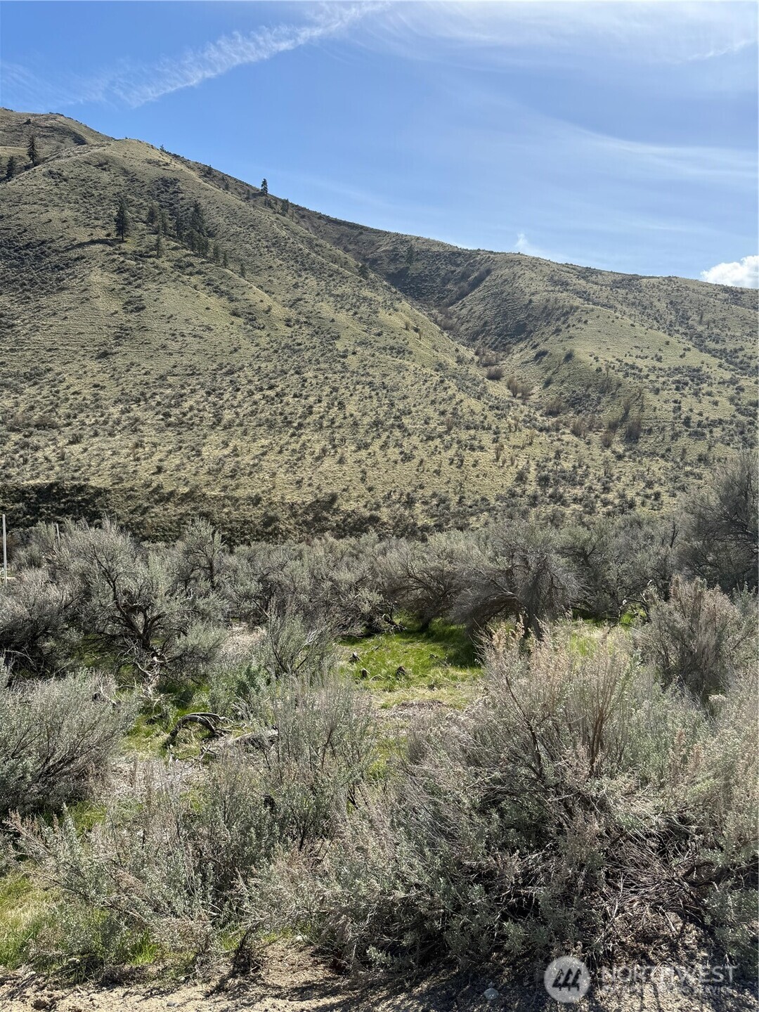 1585 Pitcher Canyon Road Property Photo 8