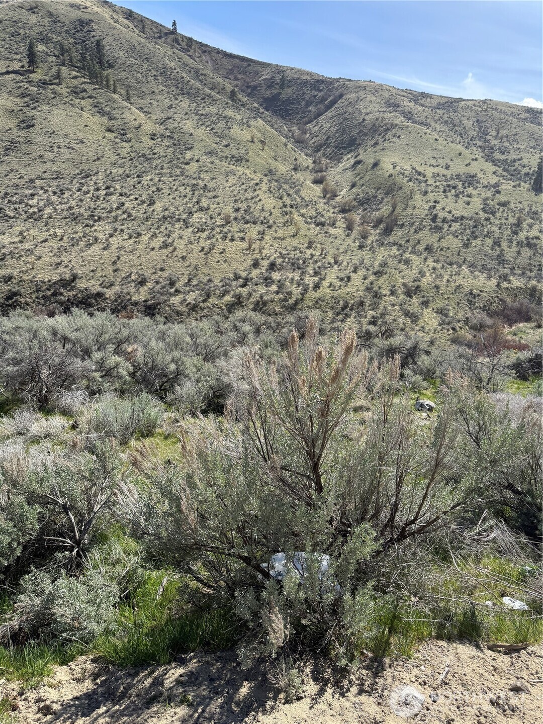 1585 Pitcher Canyon Road Property Photo 10