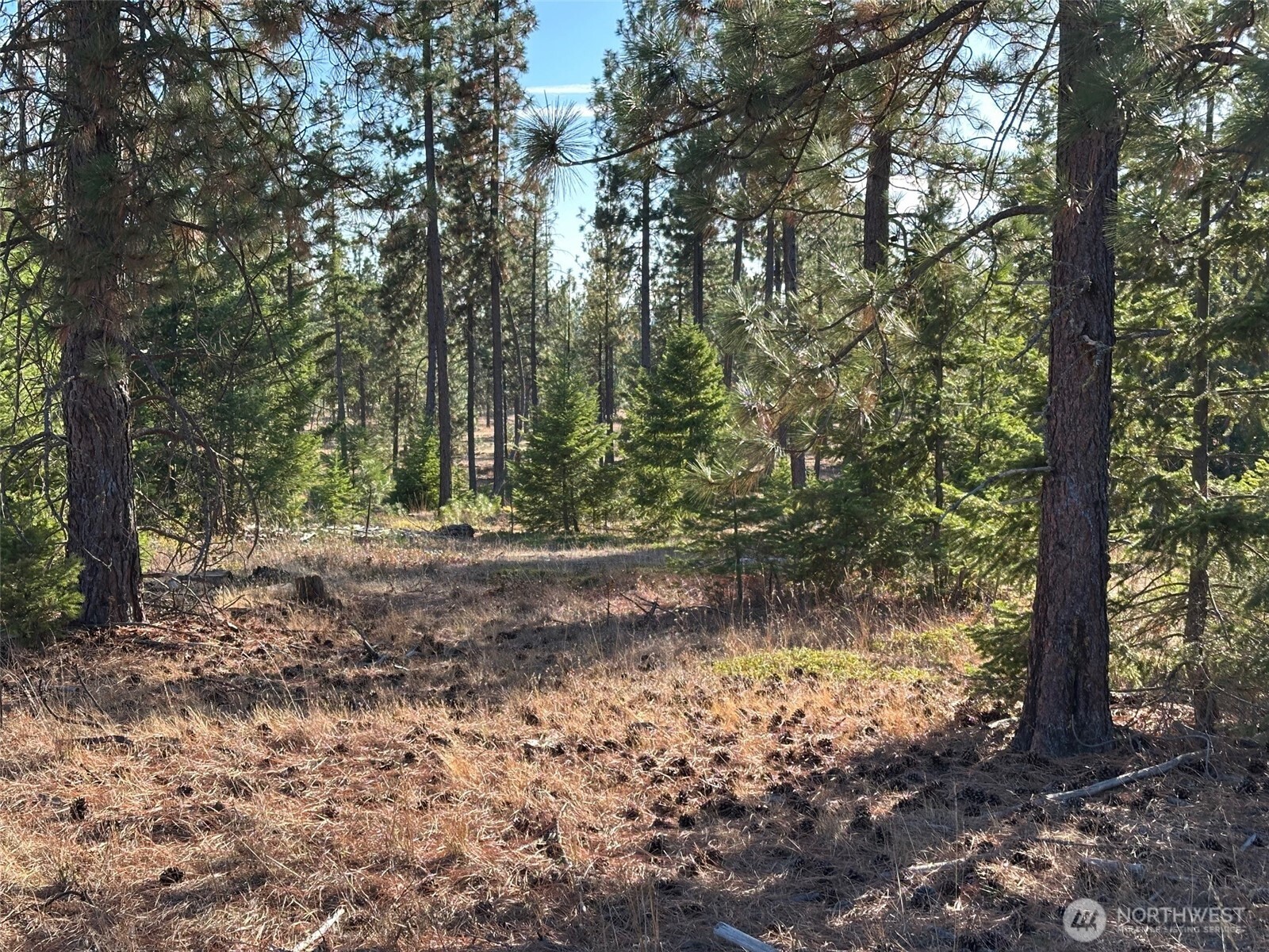 0 000 Piper Lane Property Photo 3