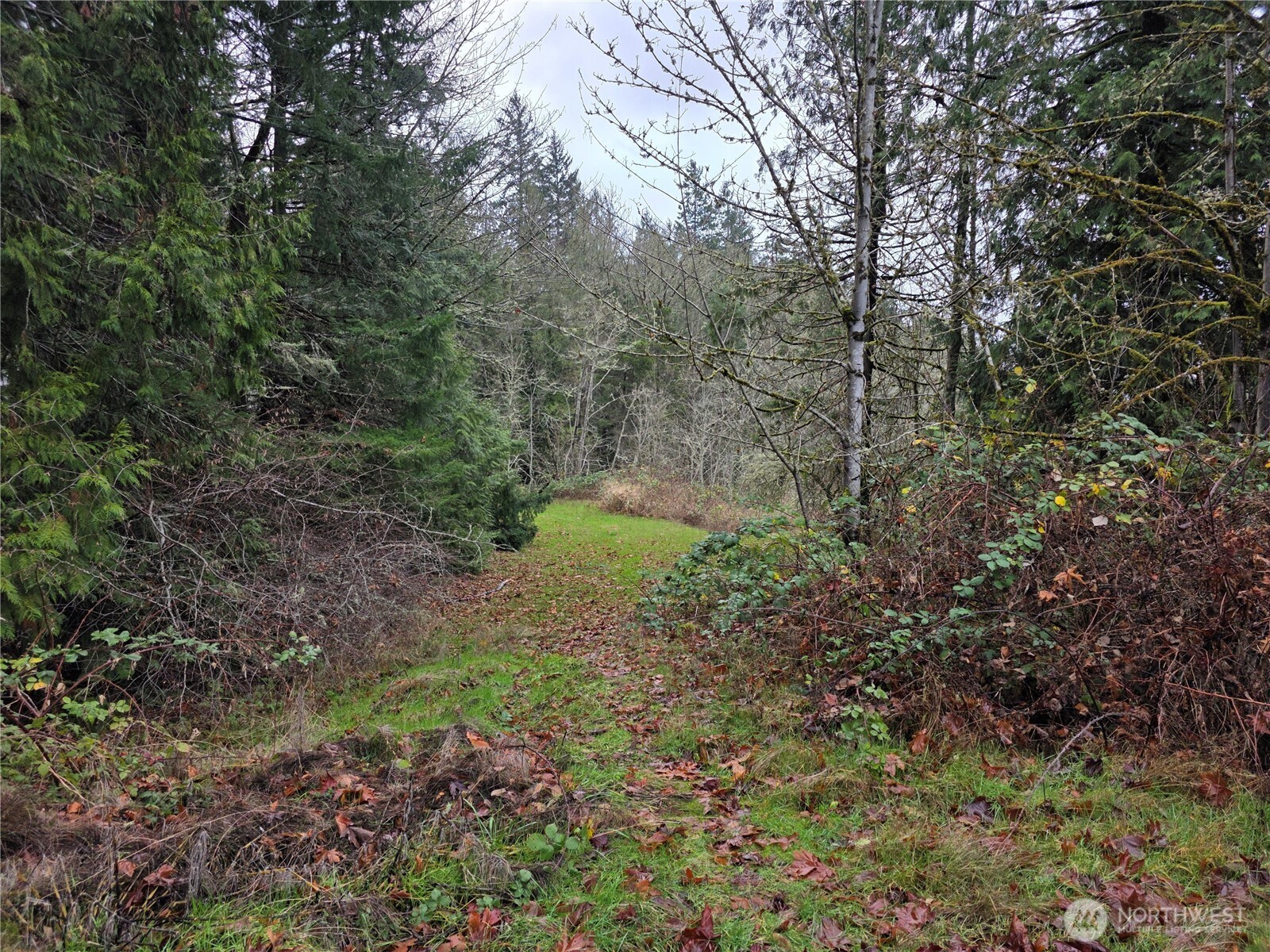 0 Silver Cove Property Photo 1