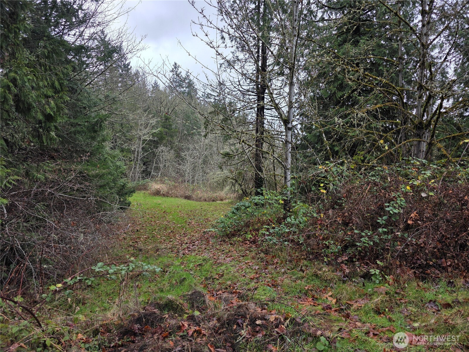 0 Silver Cove Property Photo 2