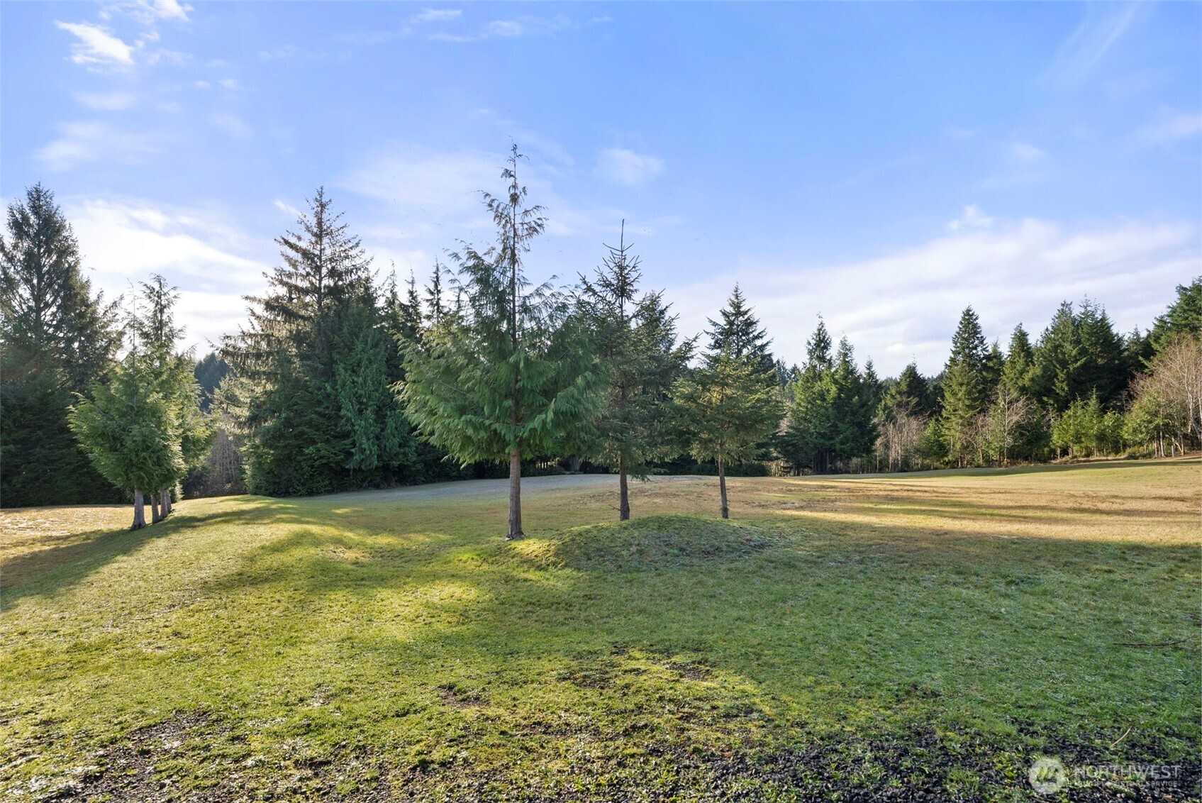 15 Spruce Lane Property Photo 31