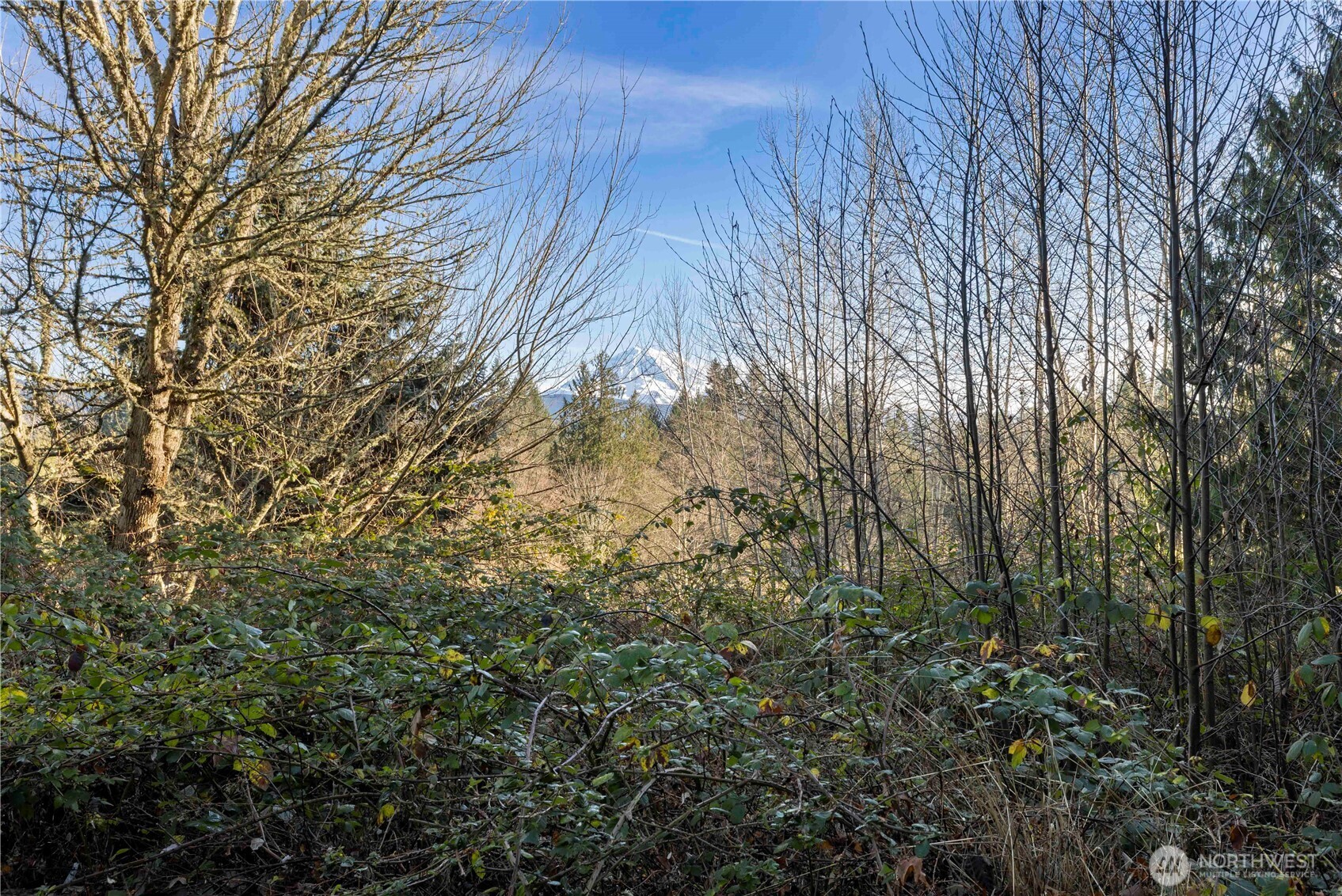 16018 229th Street Property Photo 7