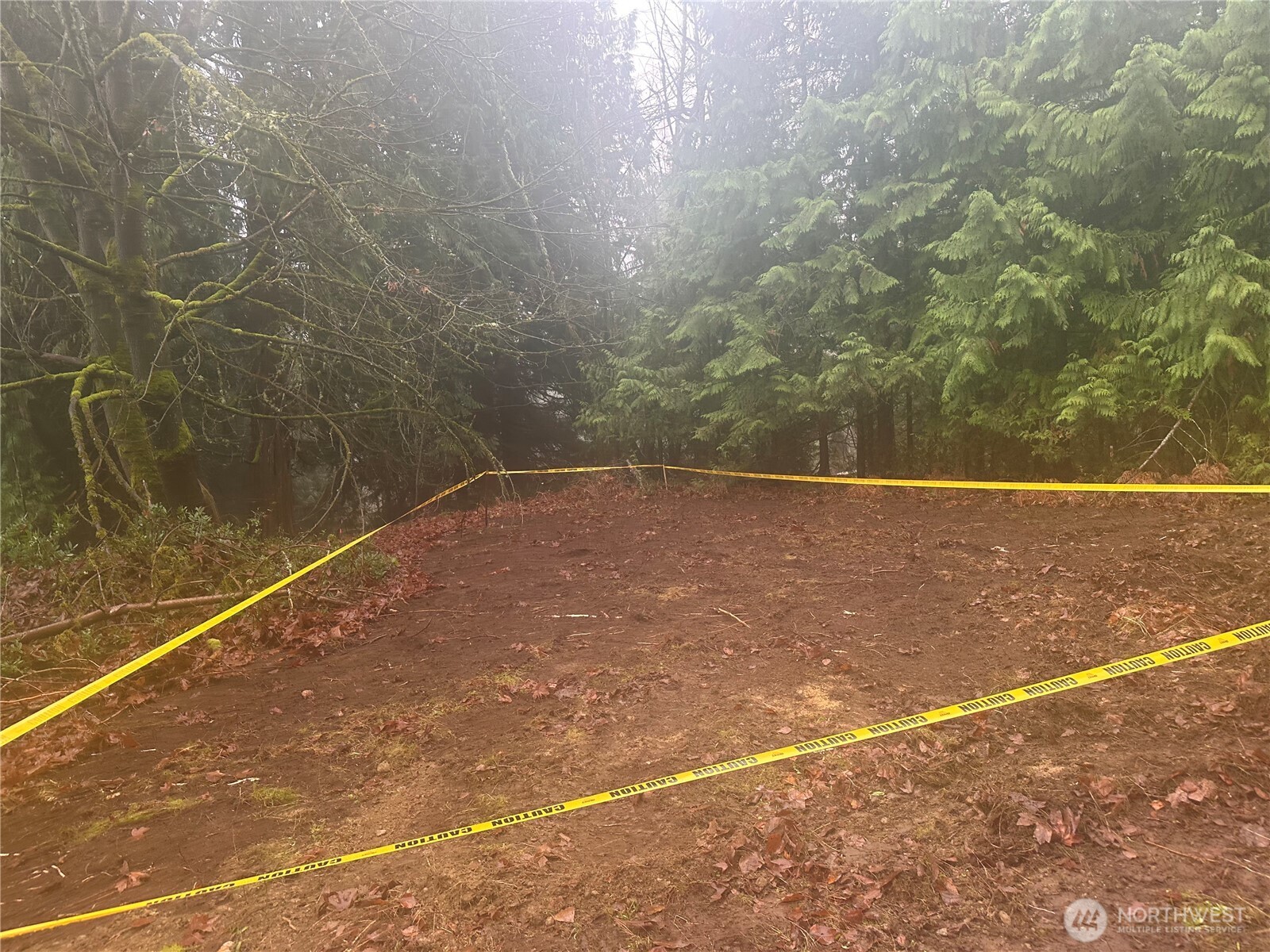 16018 229th Street Property Photo 9