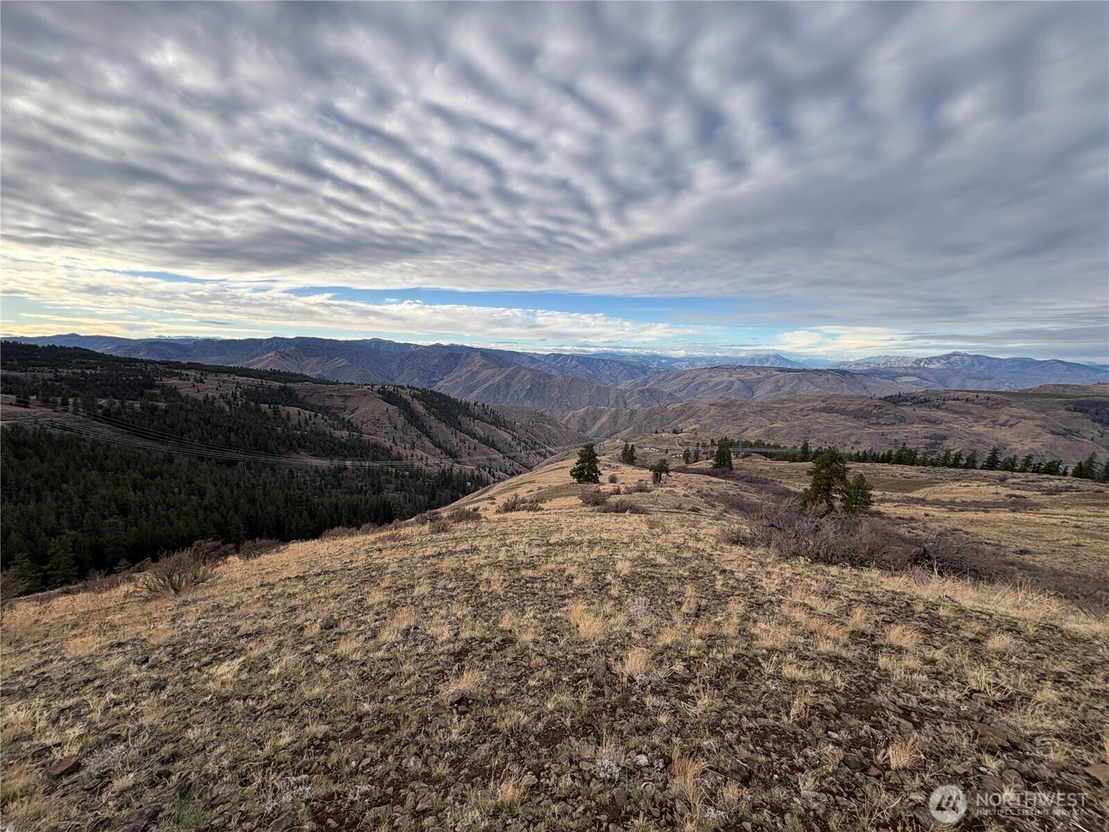 0 XX Deer Creek Drive Property Photo 1