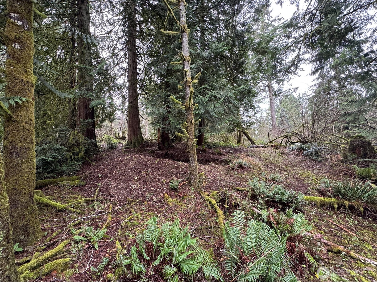 10110 Selma Circle Property Photo 1