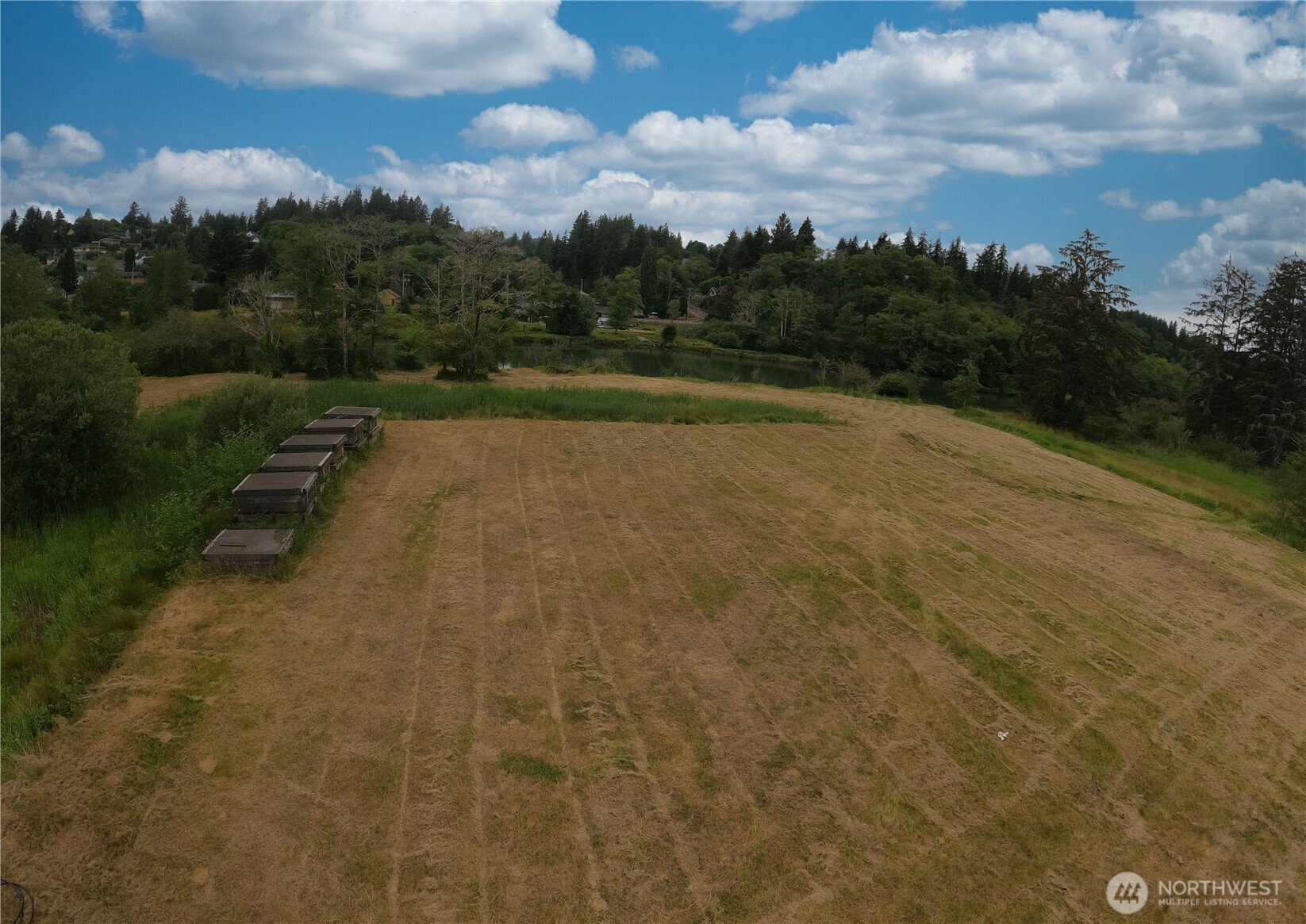 1701 Harrison Property Photo 6
