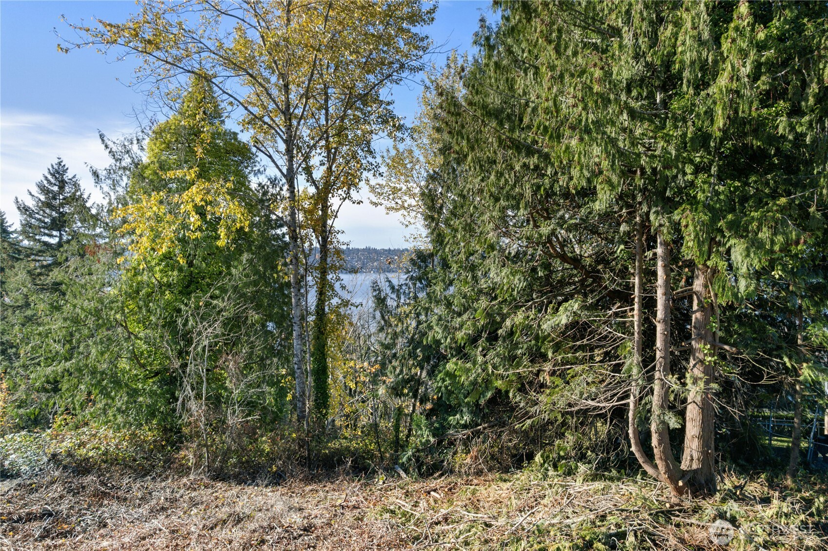 1409 N 24th Street Property Photo 11