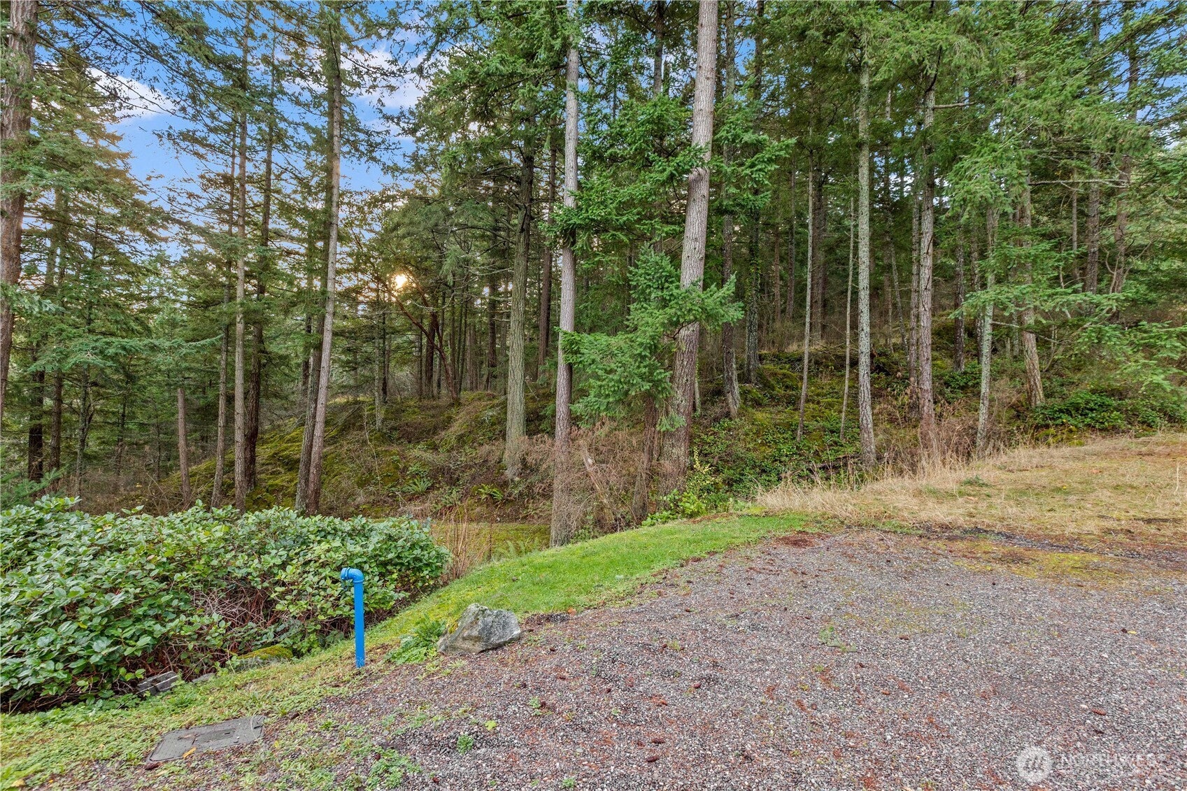 1103 Berry Way Property Photo 34