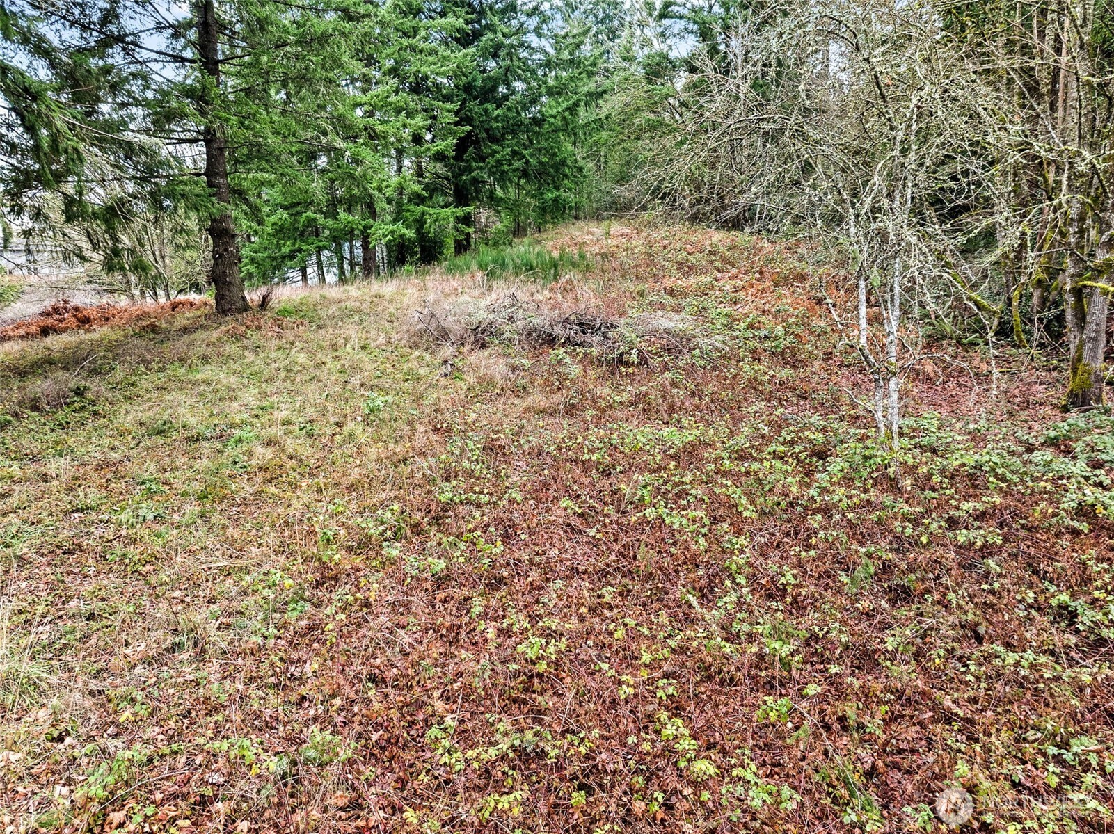 7 7th Avenue Property Photo 2