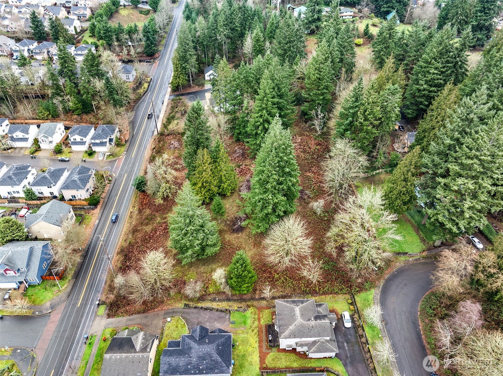 7 7th Avenue Property Photo 8
