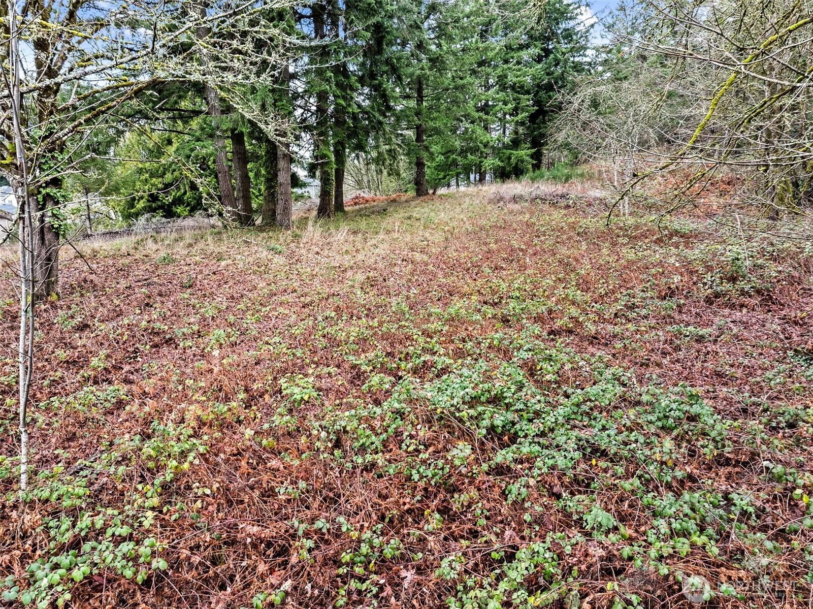 7 7th Avenue Property Photo 17