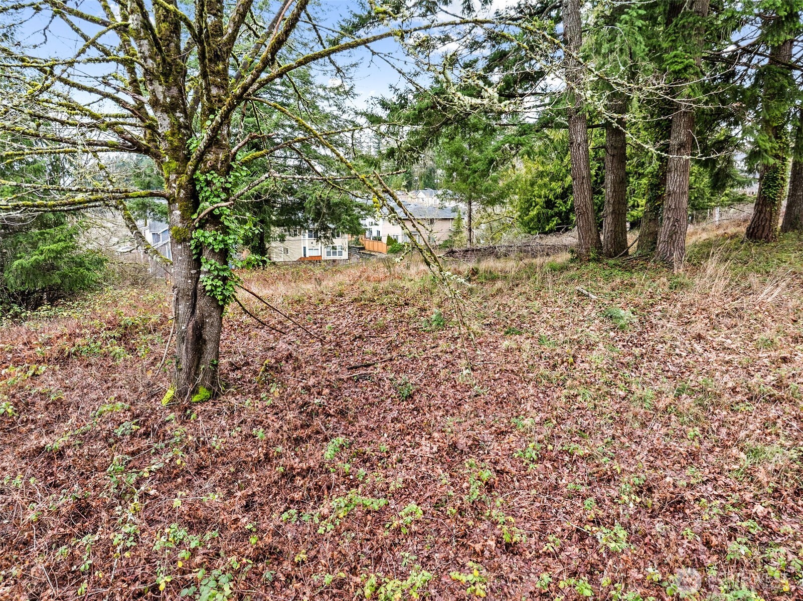 7 7th Avenue Property Photo 18