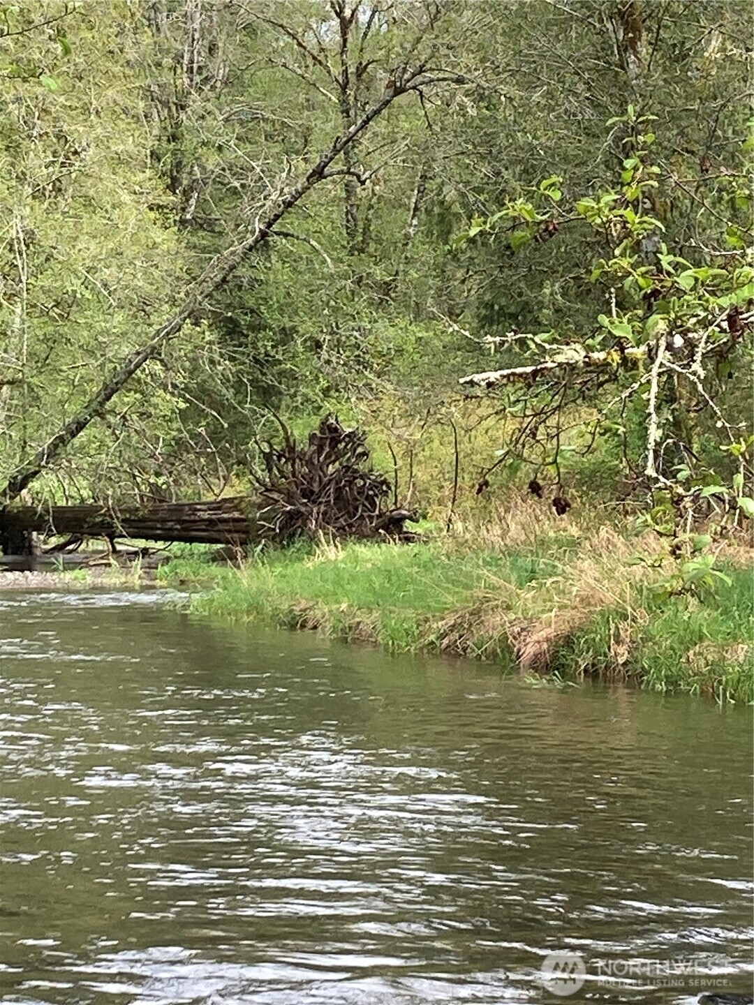 0 East Of Bingham Creek Property Photo 8