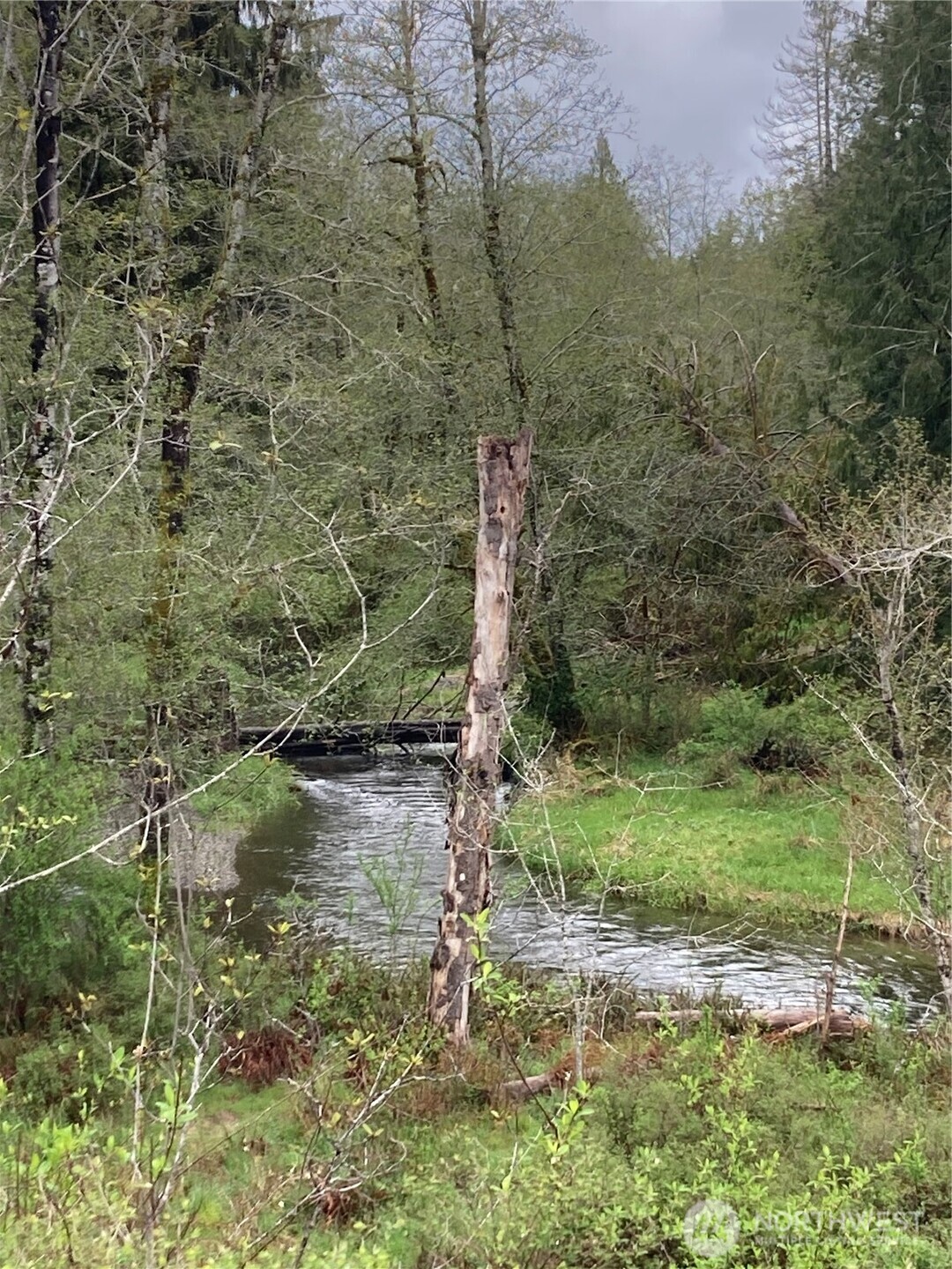 0 East Of Bingham Creek Property Photo 10