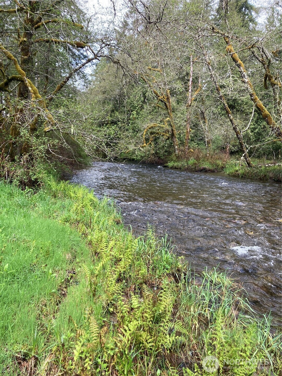 0 East Of Bingham Creek Property Photo 14