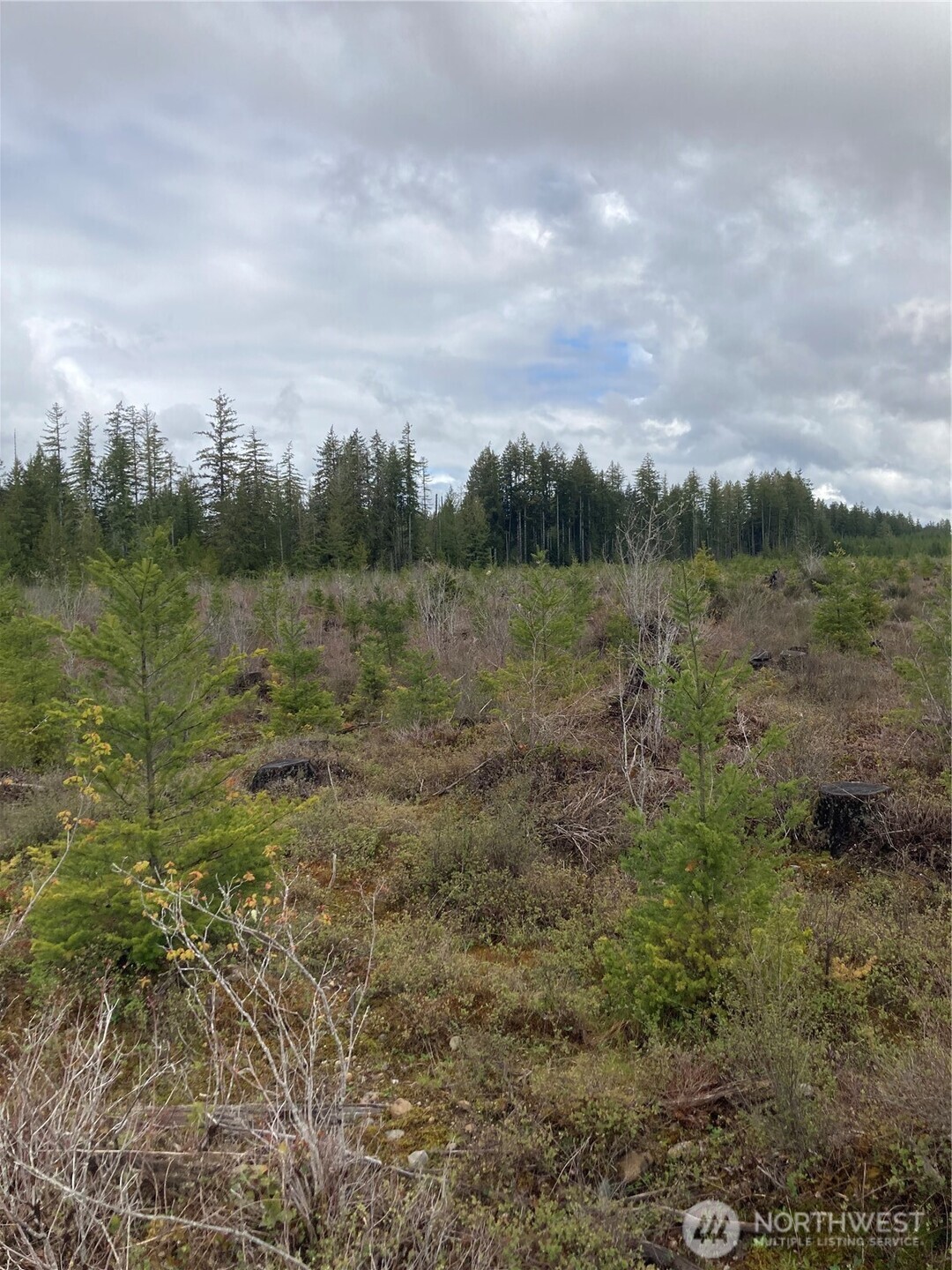 0 East Of Bingham Creek Property Photo 16