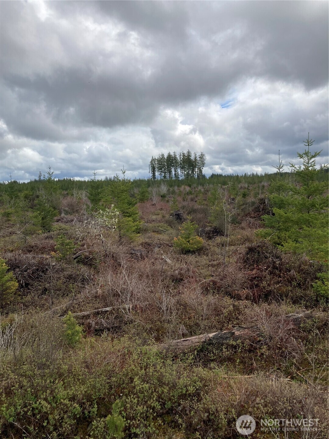 0 East Of Bingham Creek Property Photo 17