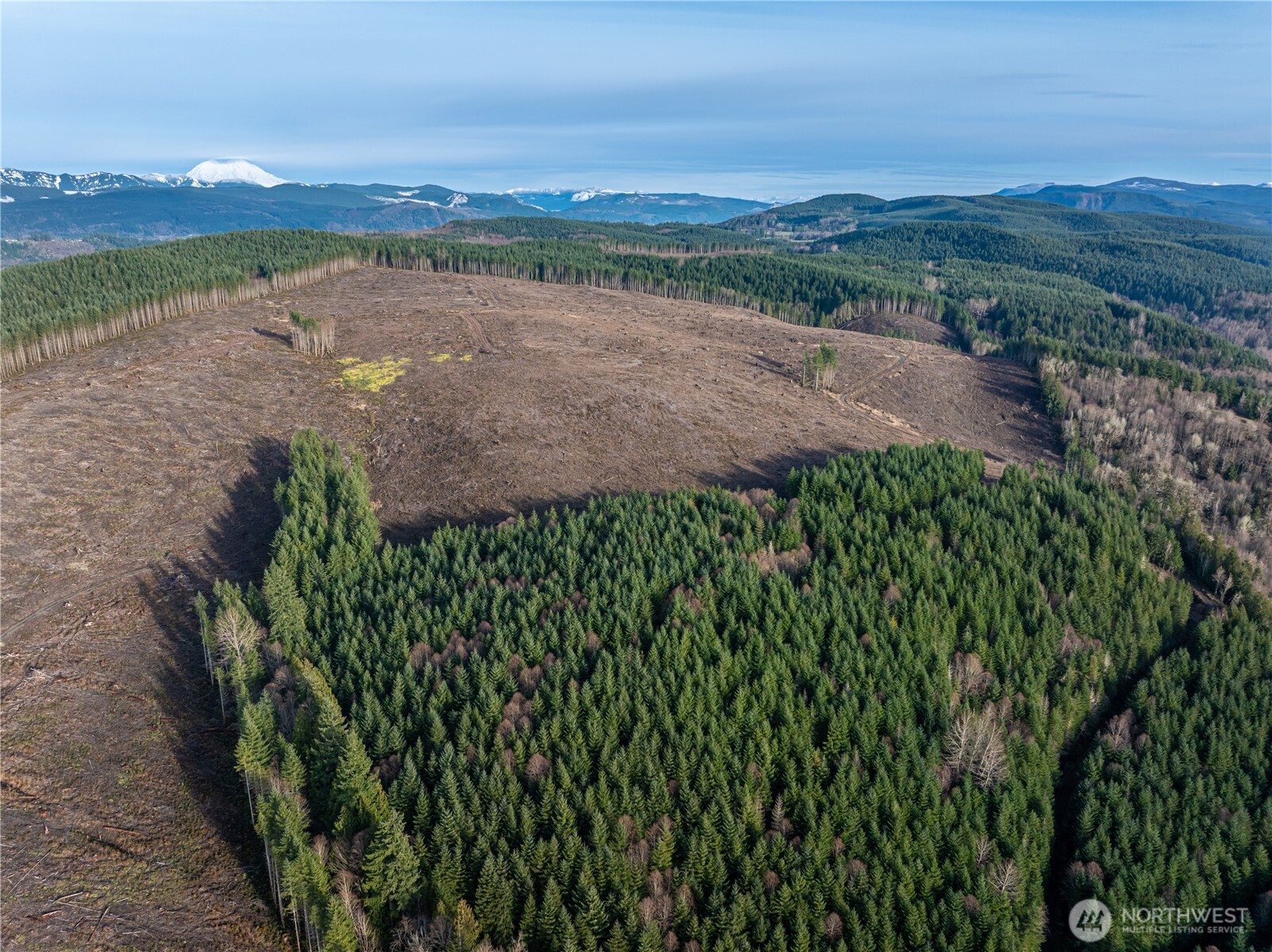 50 X Winston Creek Road Property Photo 7