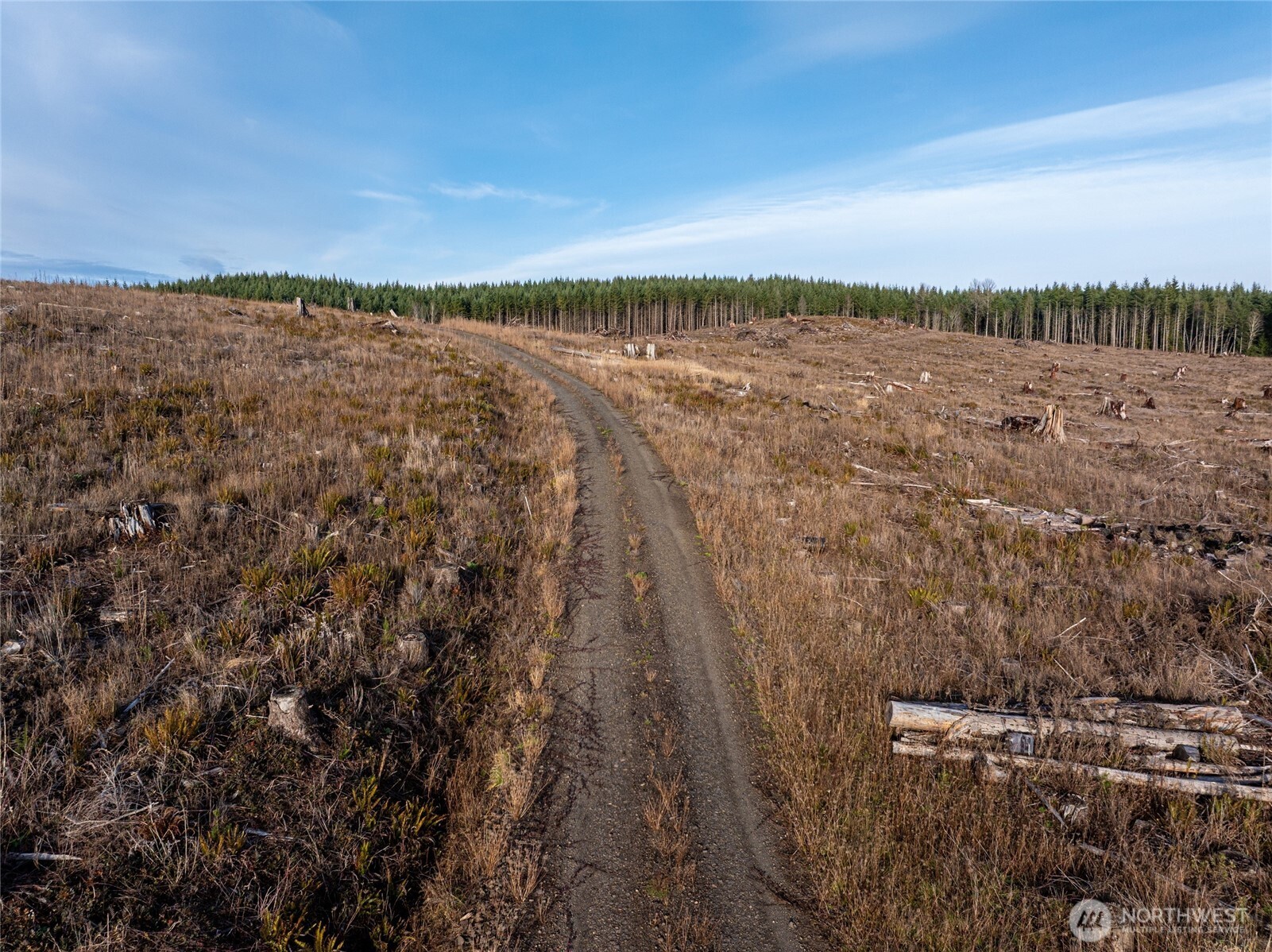 50 X Winston Creek Road Property Photo 9