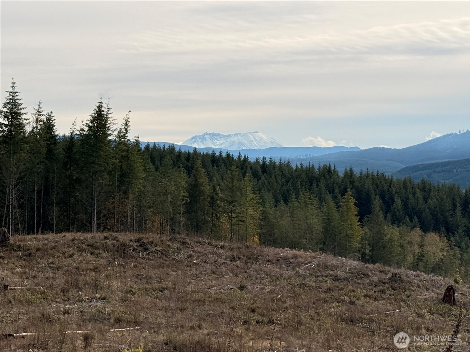 50 X Winston Creek Road Property Photo 12
