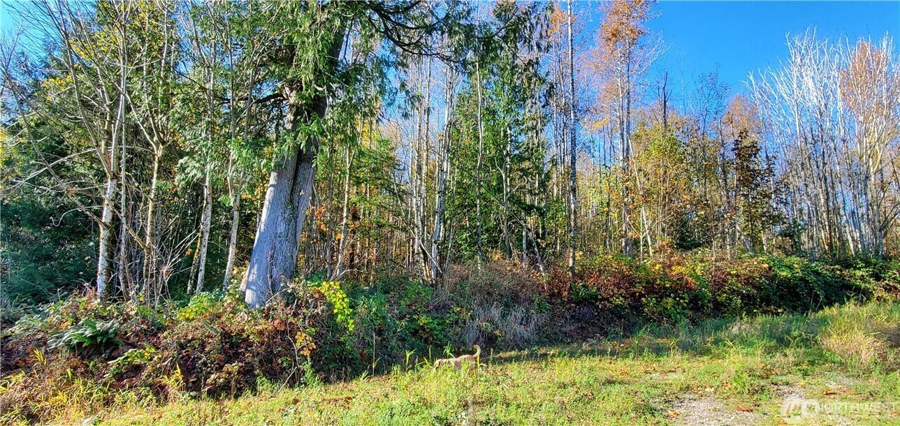 0 0 Valley Highway Property Photo 7