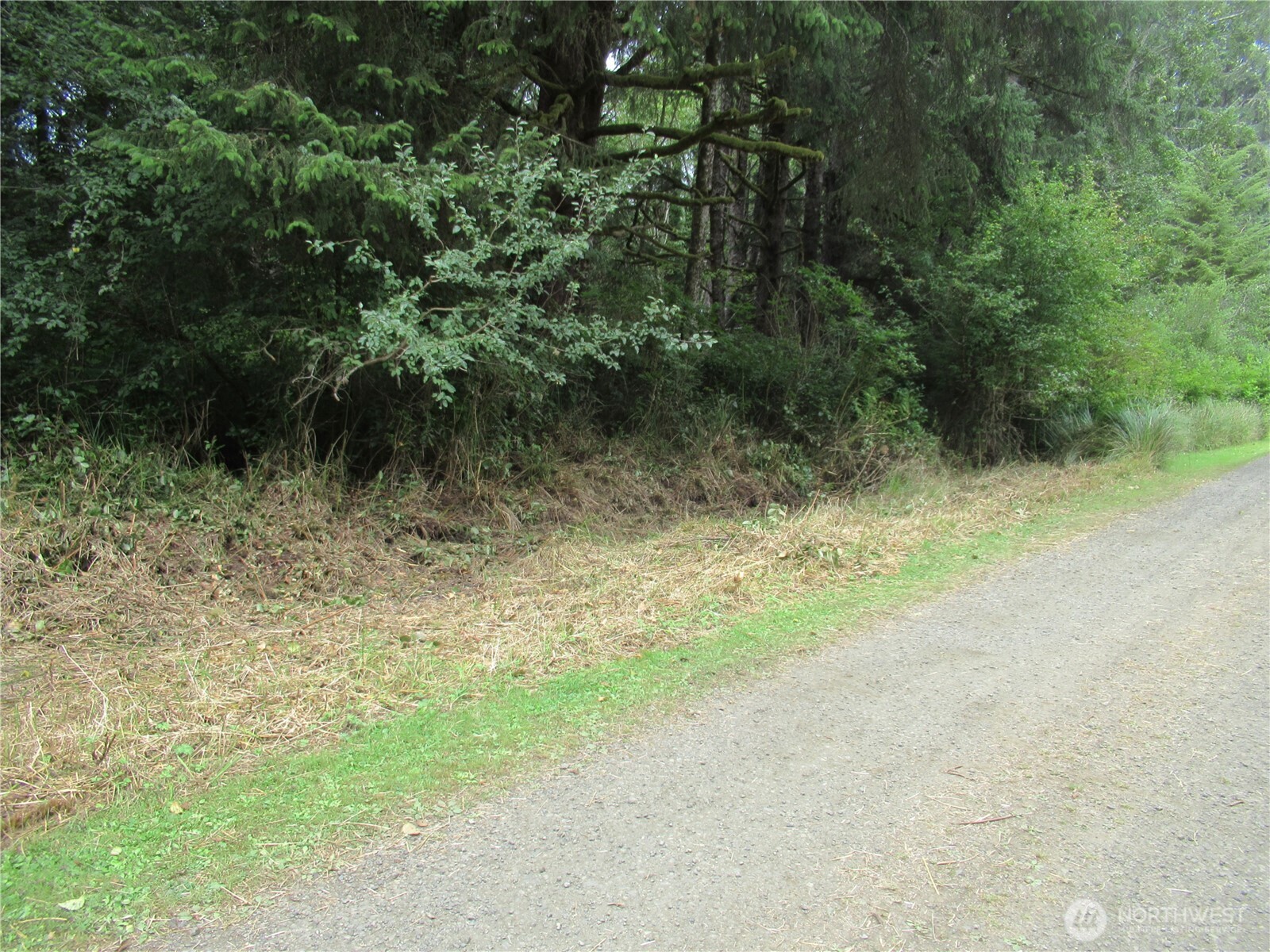 107 Dolphin Lane Property Photo 10