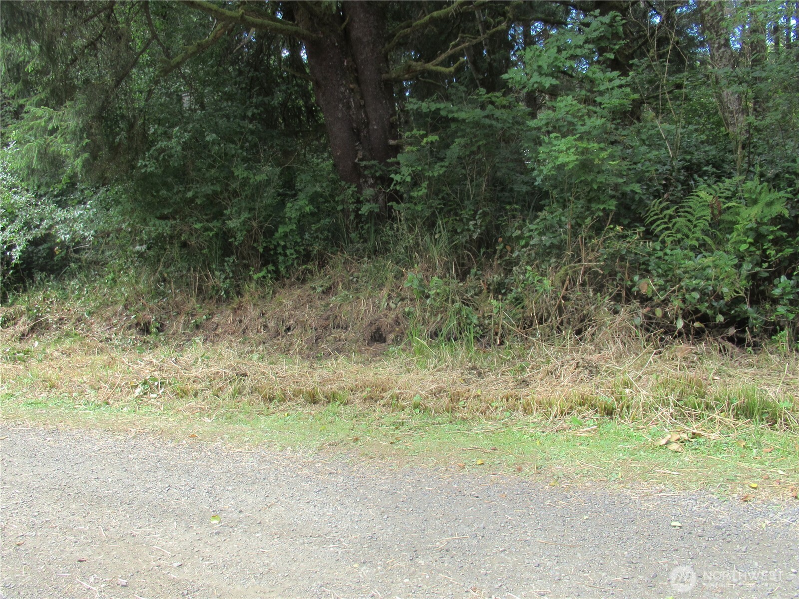 107 Dolphin Lane Property Photo 11