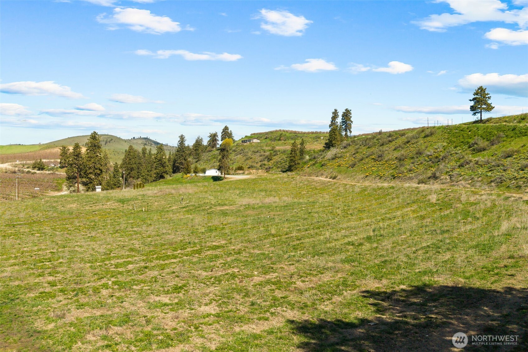 55 Swanson Gulch Road Property Photo 9