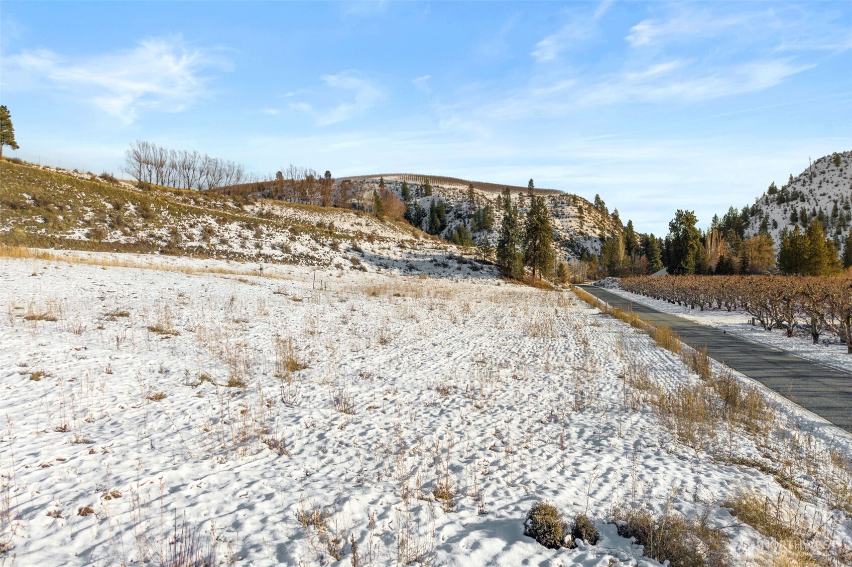 55 Swanson Gulch Road Property Photo 28