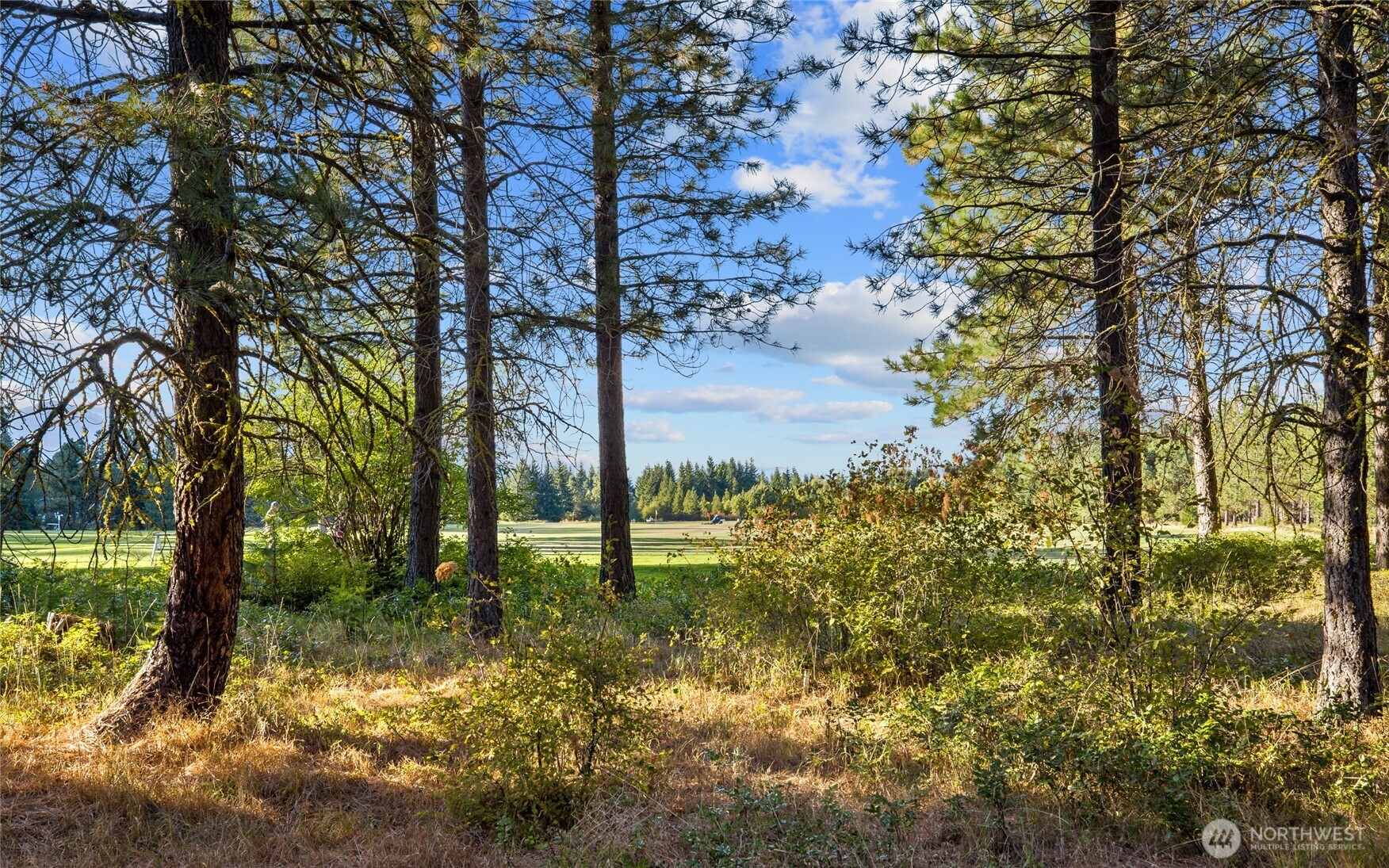 2040 Ruby King Loop Property Photo 1
