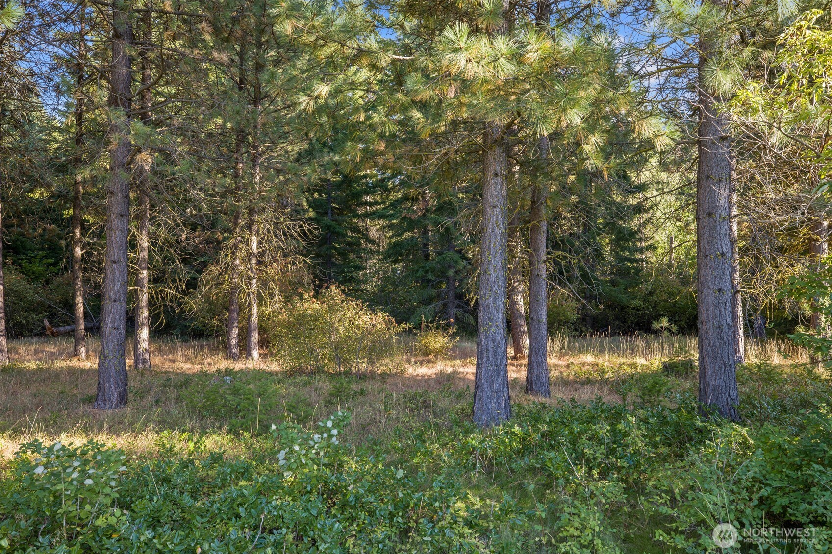 2040 Ruby King Loop Property Photo 6