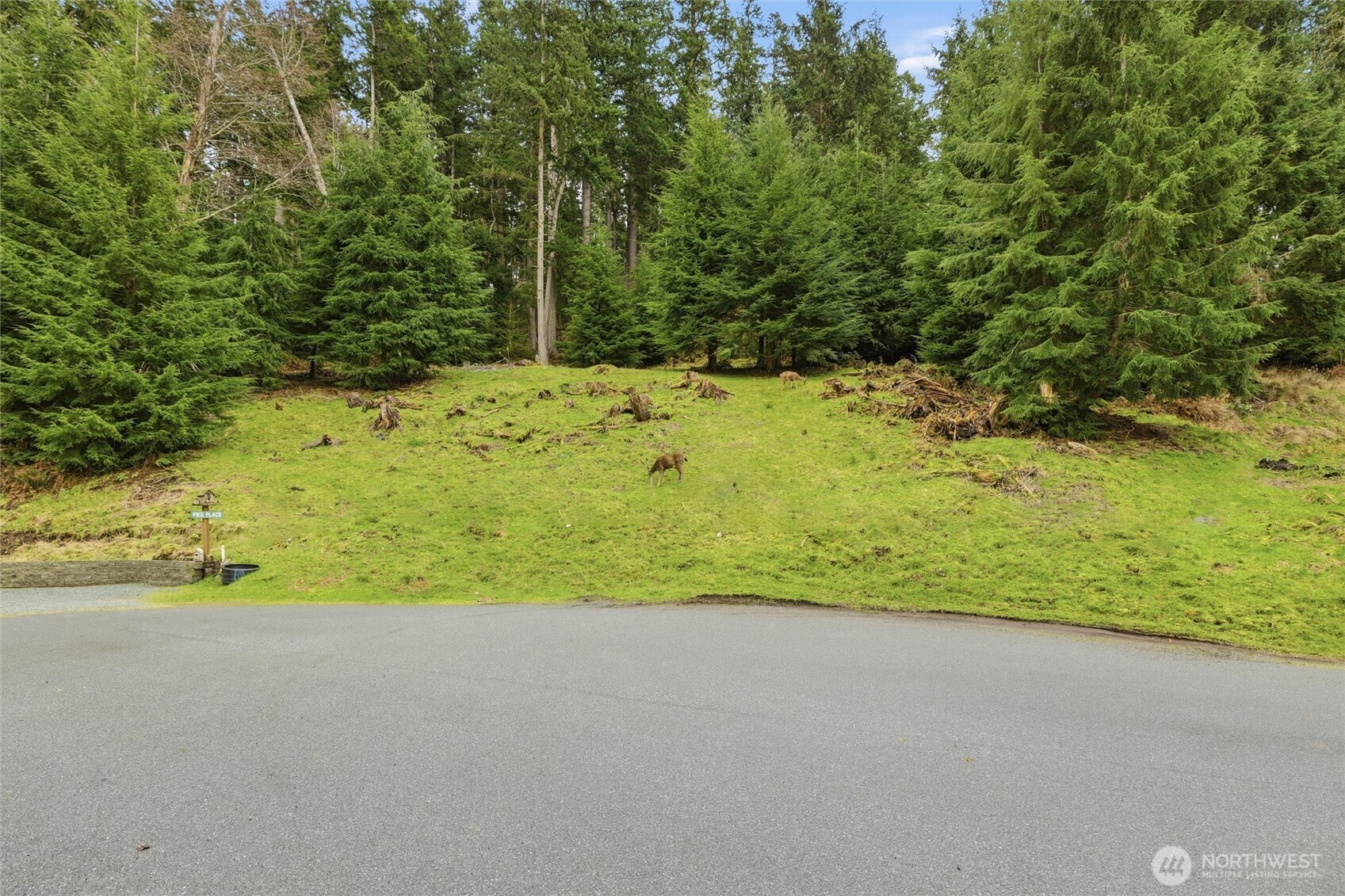 5184 Ridgeline Place Property Photo 11