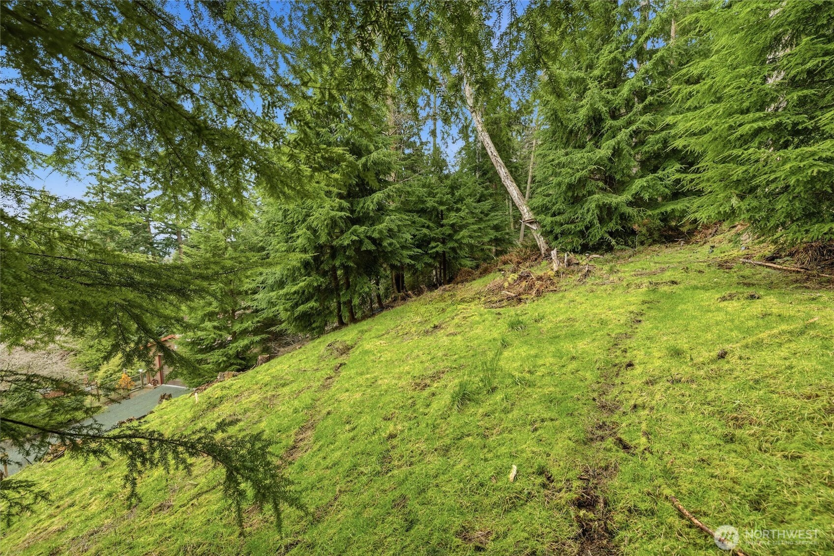 5184 Ridgeline Place Property Photo 14