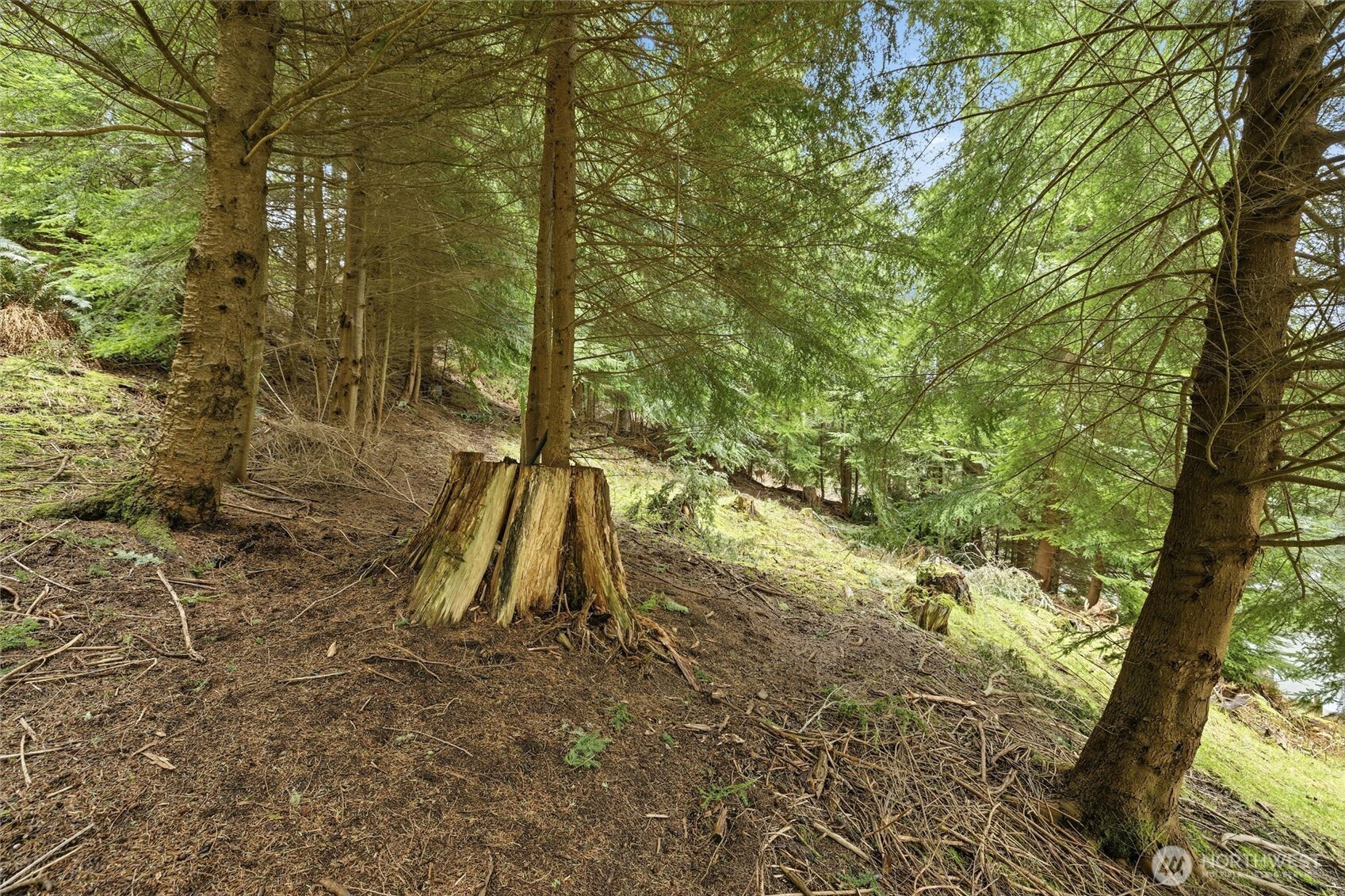 5184 Ridgeline Place Property Photo 15
