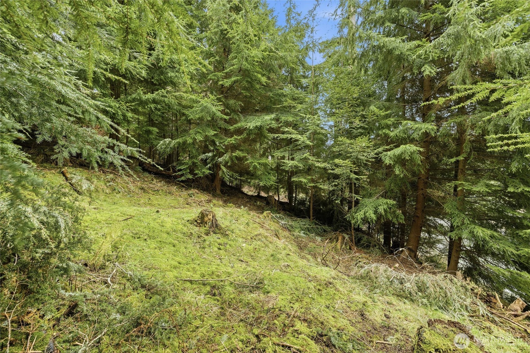 5184 Ridgeline Place Property Photo 16