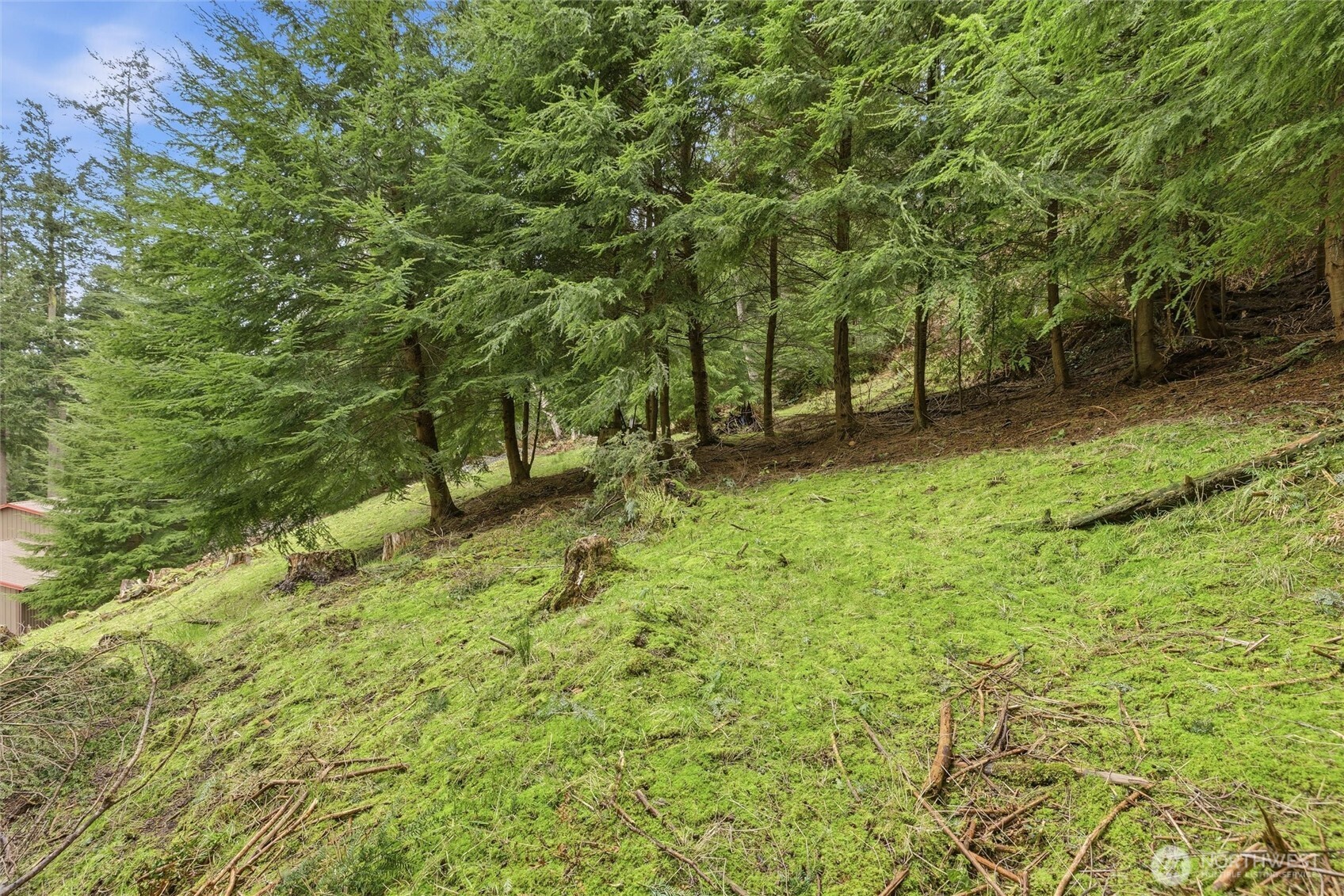 5184 Ridgeline Place Property Photo 17